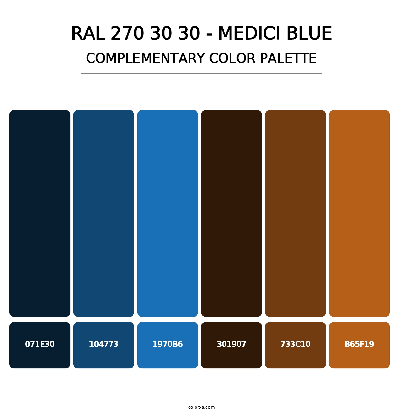 RAL 270 30 30 - Medici Blue - Complementary Color Palette
