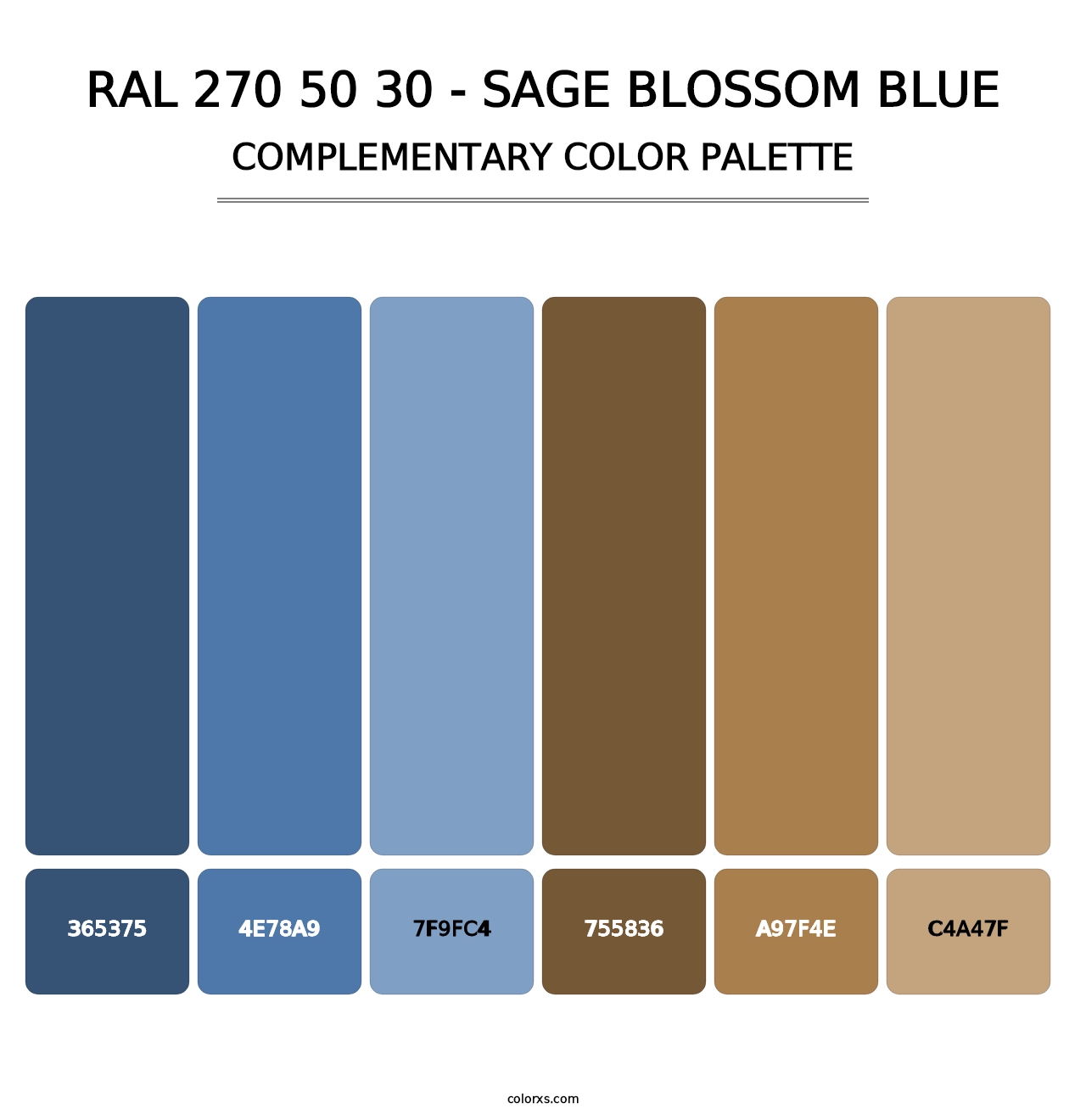 RAL 270 50 30 - Sage Blossom Blue - Complementary Color Palette