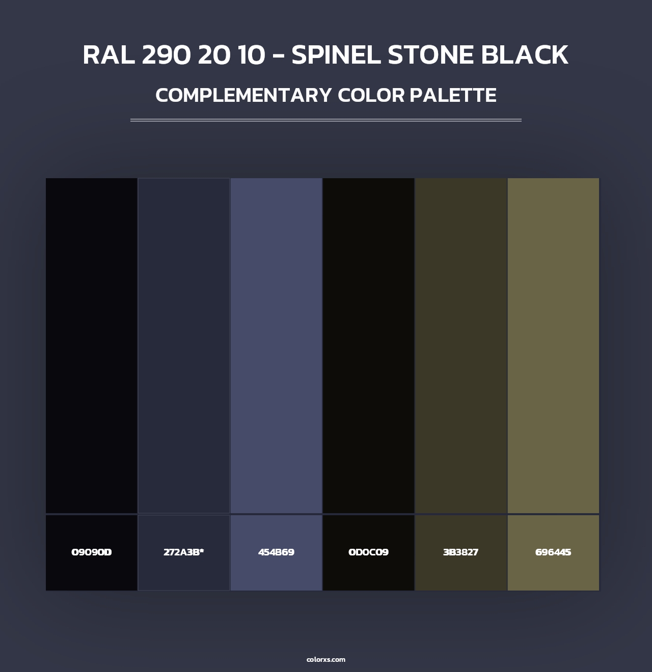 RAL 290 20 10 - Spinel Stone Black - Complementary Color Palette