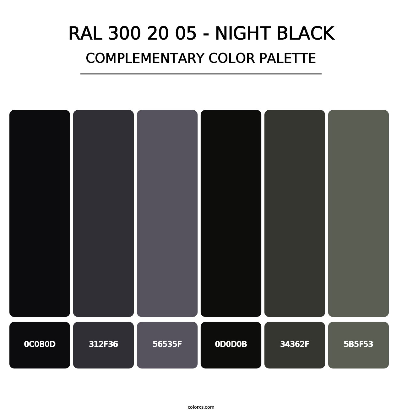 RAL 300 20 05 - Night Black - Complementary Color Palette