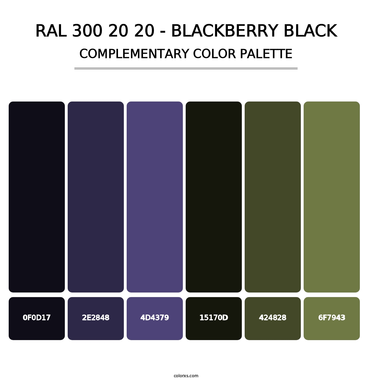 RAL 300 20 20 - Blackberry Black - Complementary Color Palette