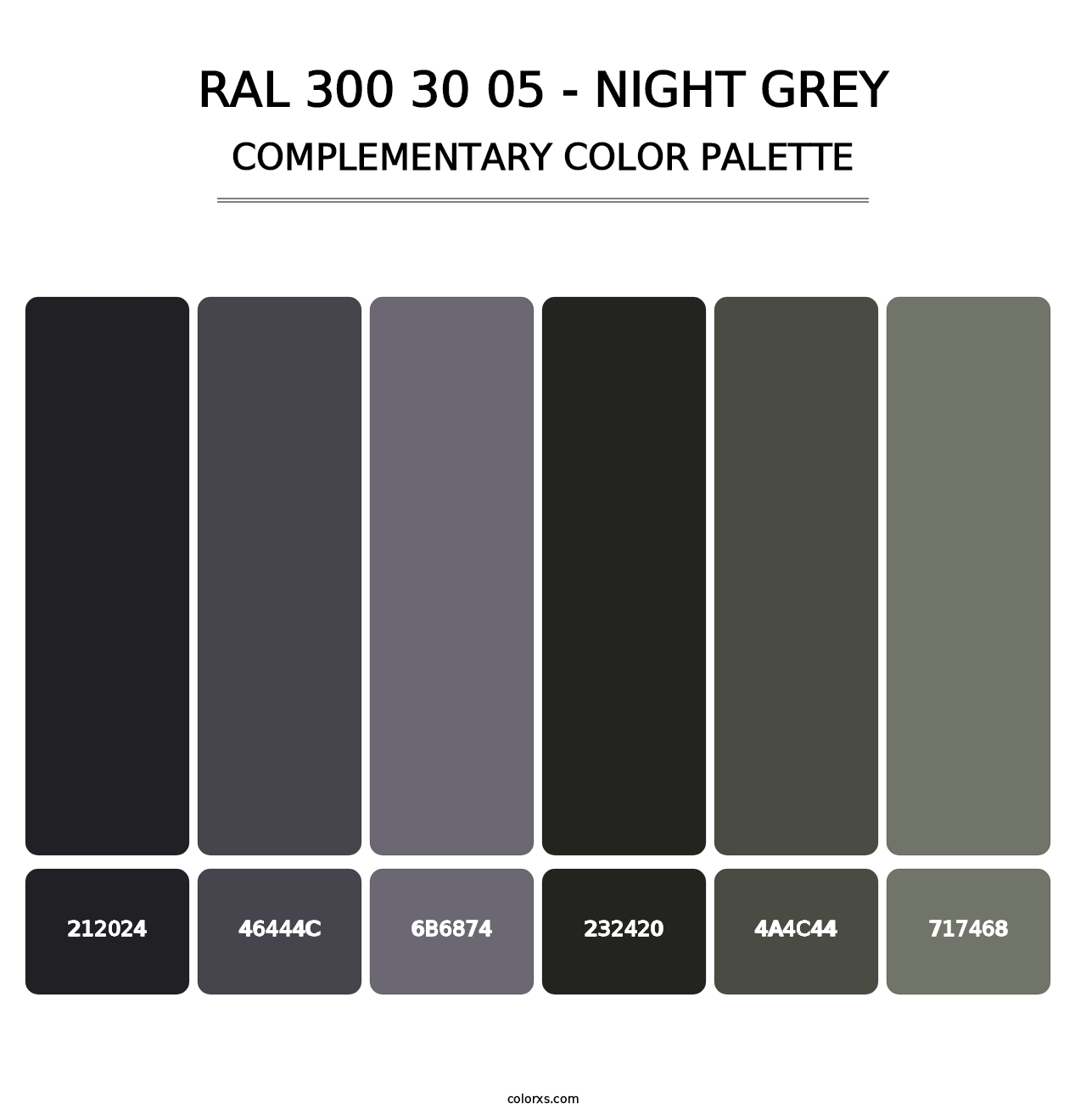 RAL 300 30 05 - Night Grey - Complementary Color Palette