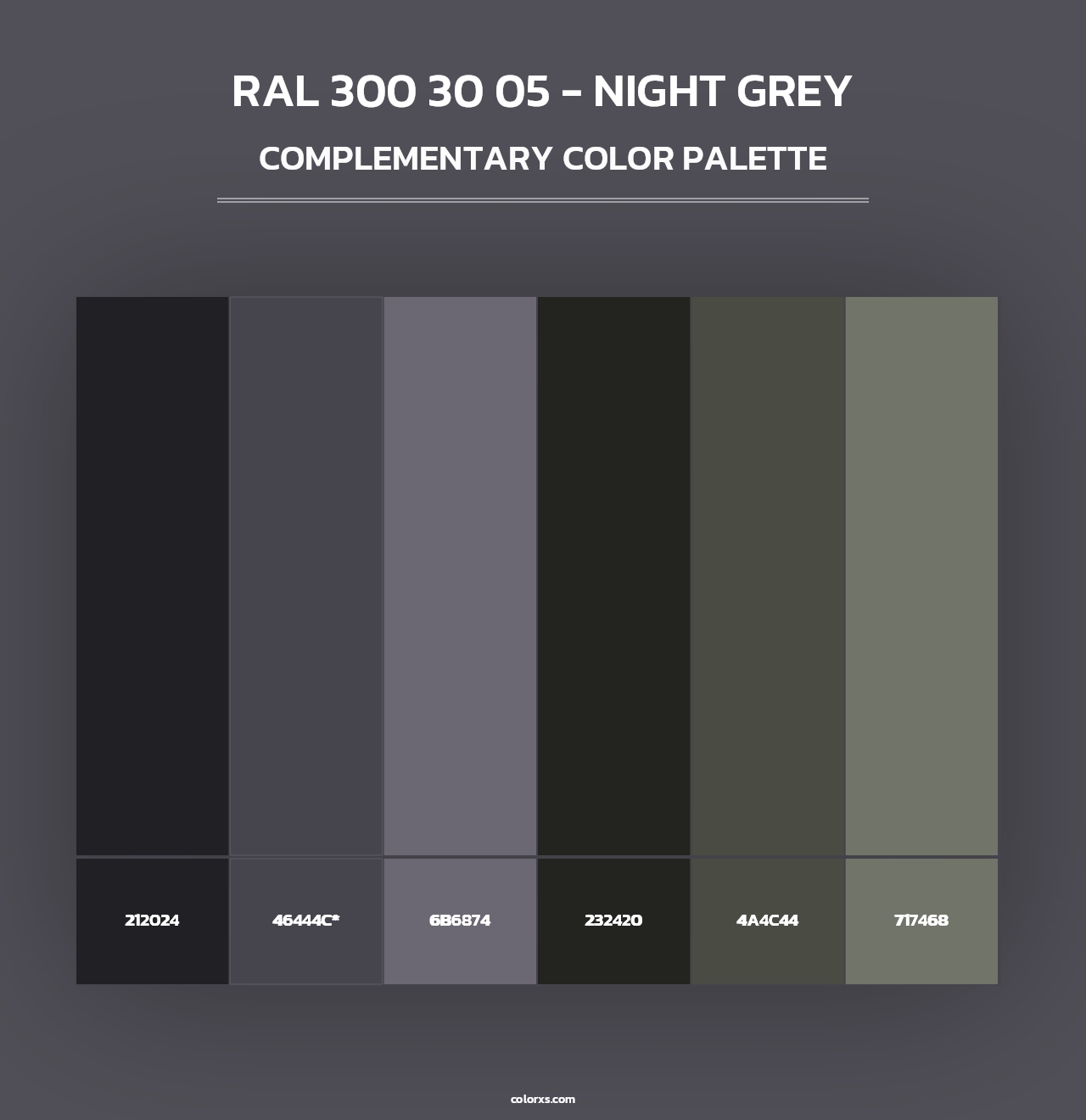 RAL 300 30 05 - Night Grey - Complementary Color Palette