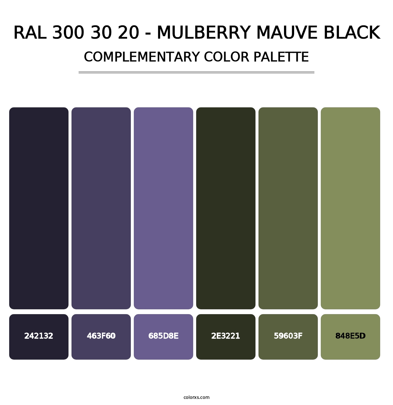 RAL 300 30 20 - Mulberry Mauve Black - Complementary Color Palette