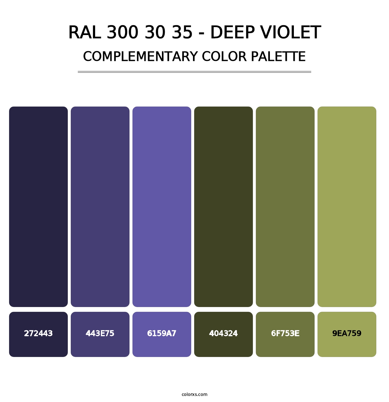 RAL 300 30 35 - Deep Violet - Complementary Color Palette
