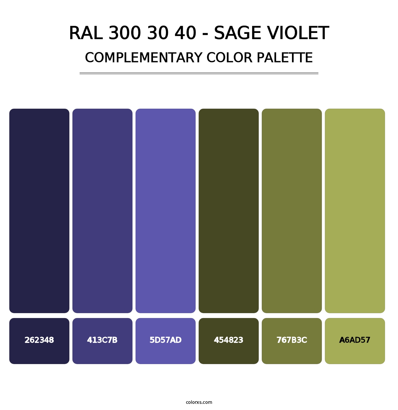 RAL 300 30 40 - Sage Violet - Complementary Color Palette