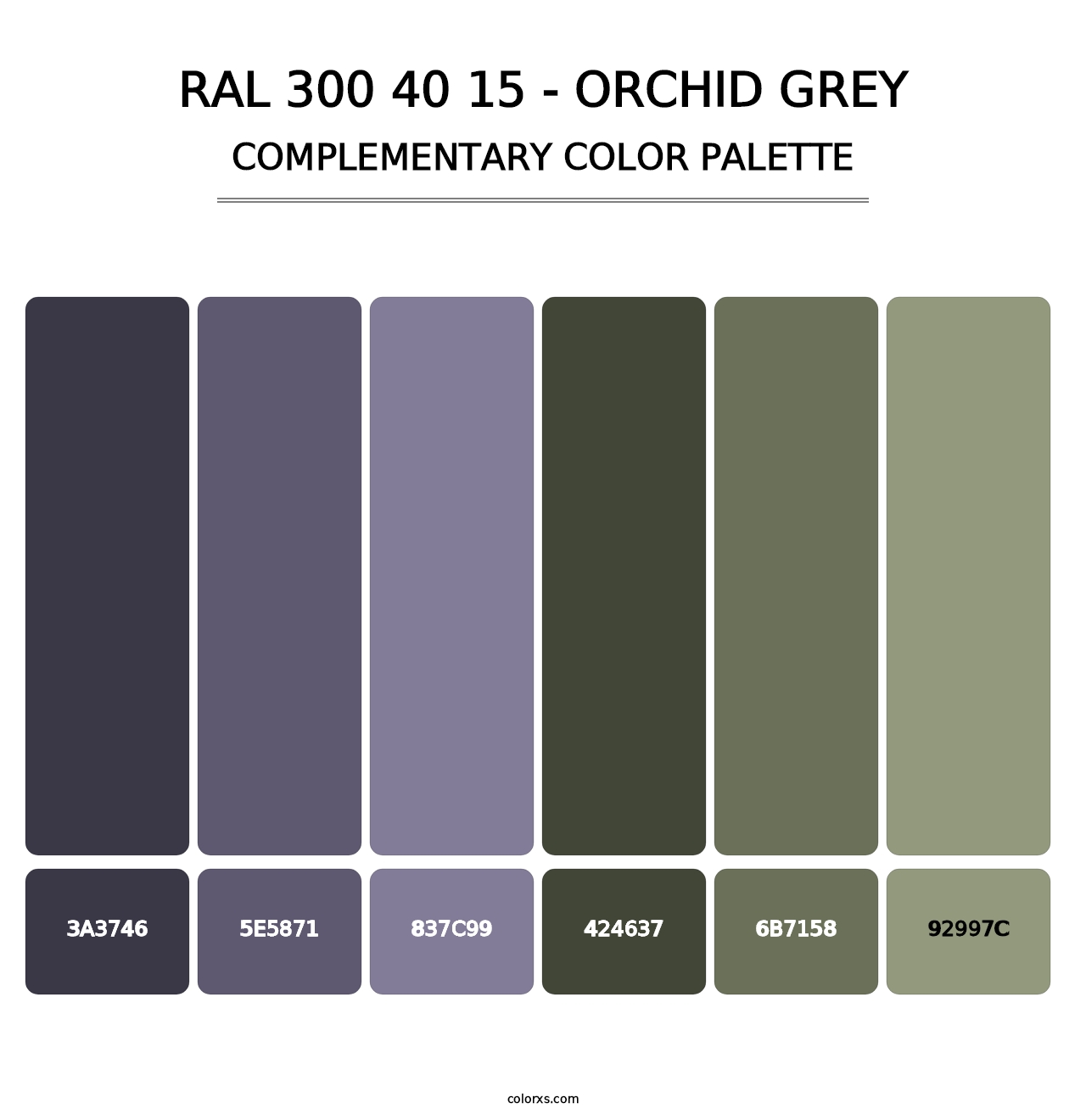 RAL 300 40 15 - Orchid Grey - Complementary Color Palette
