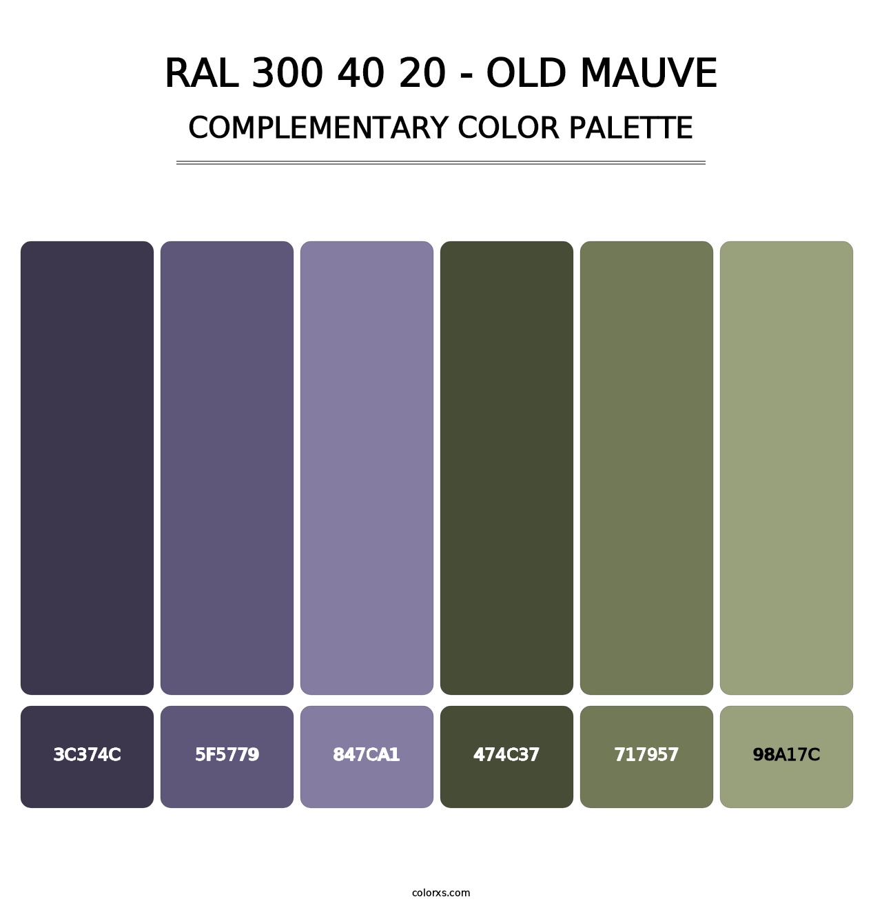 RAL 300 40 20 - Old Mauve - Complementary Color Palette