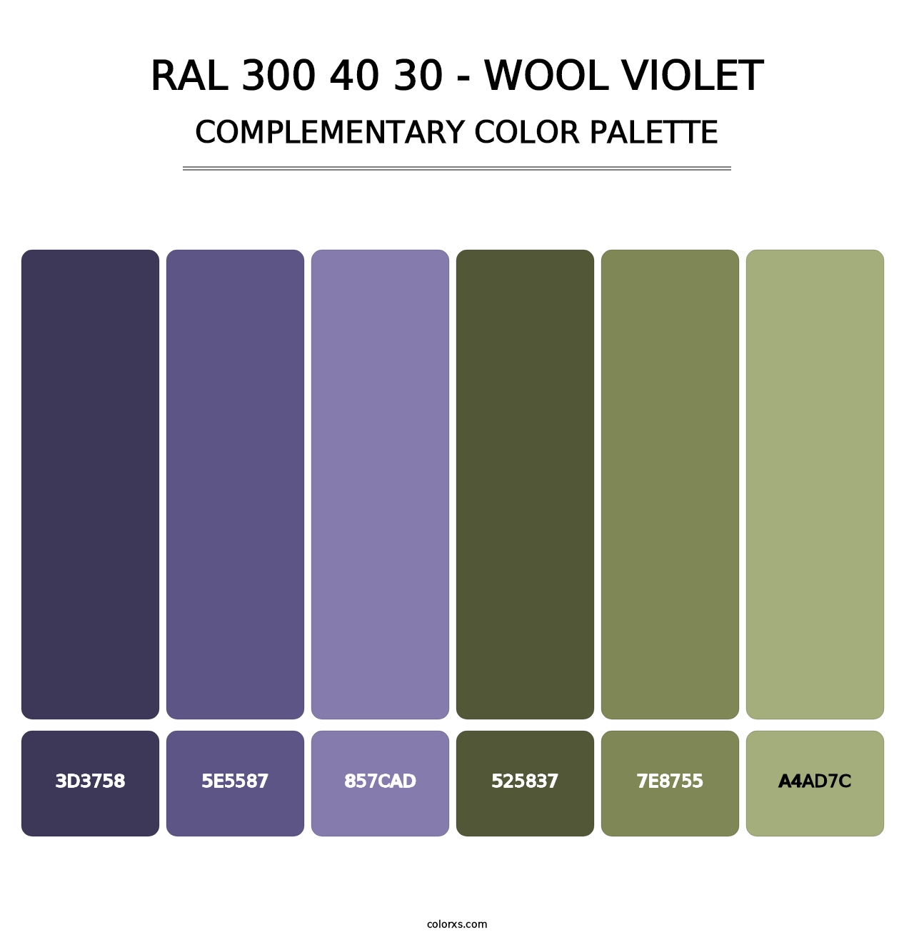 RAL 300 40 30 - Wool Violet - Complementary Color Palette