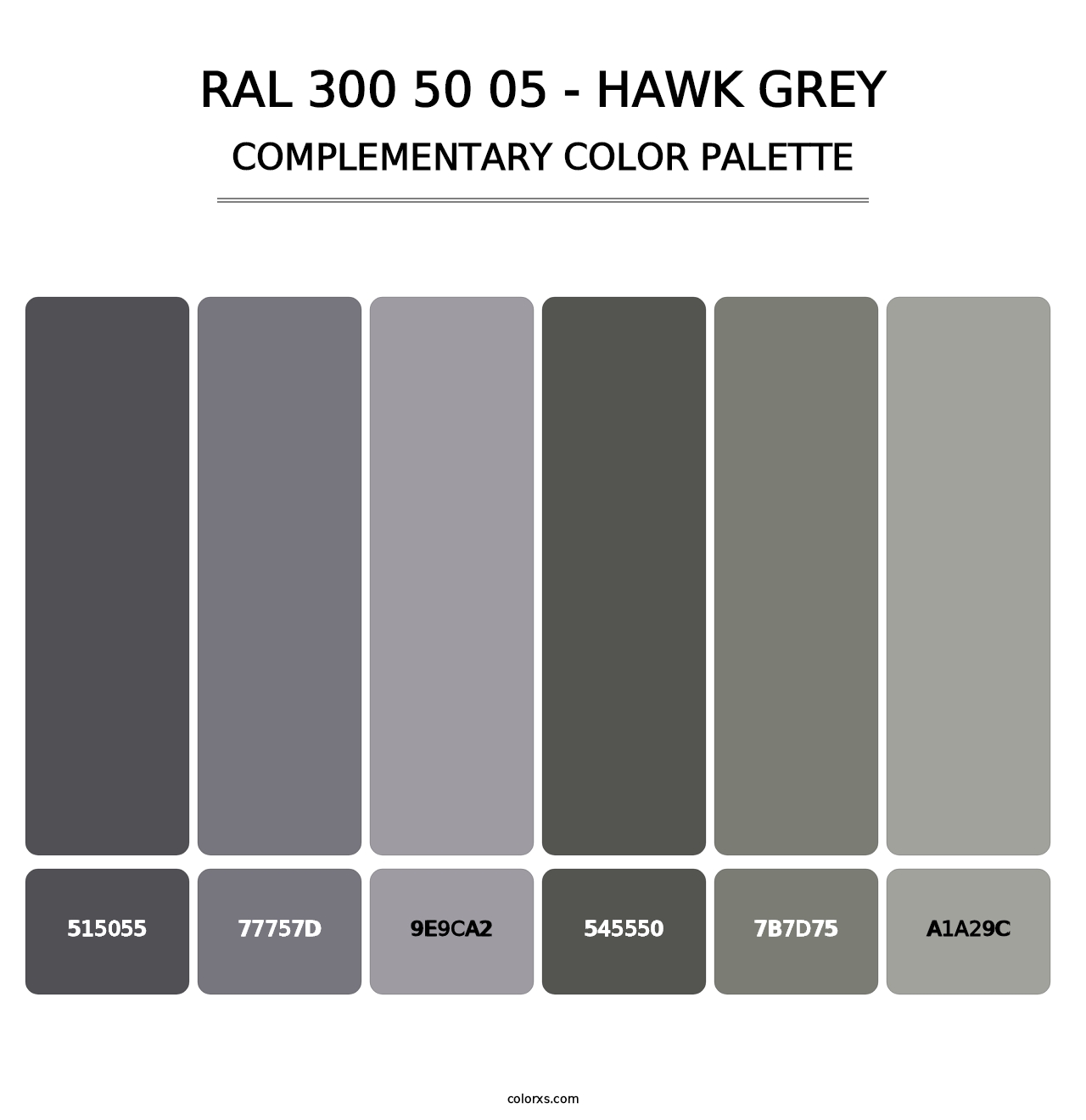 RAL 300 50 05 - Hawk Grey - Complementary Color Palette