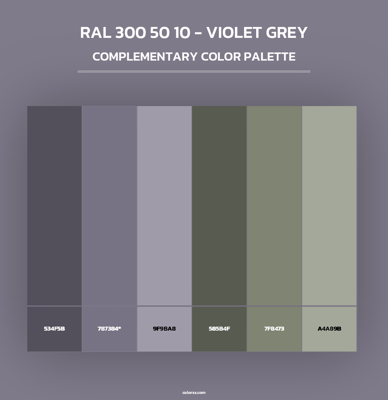 RAL 300 50 10 - Violet Grey - Complementary Color Palette