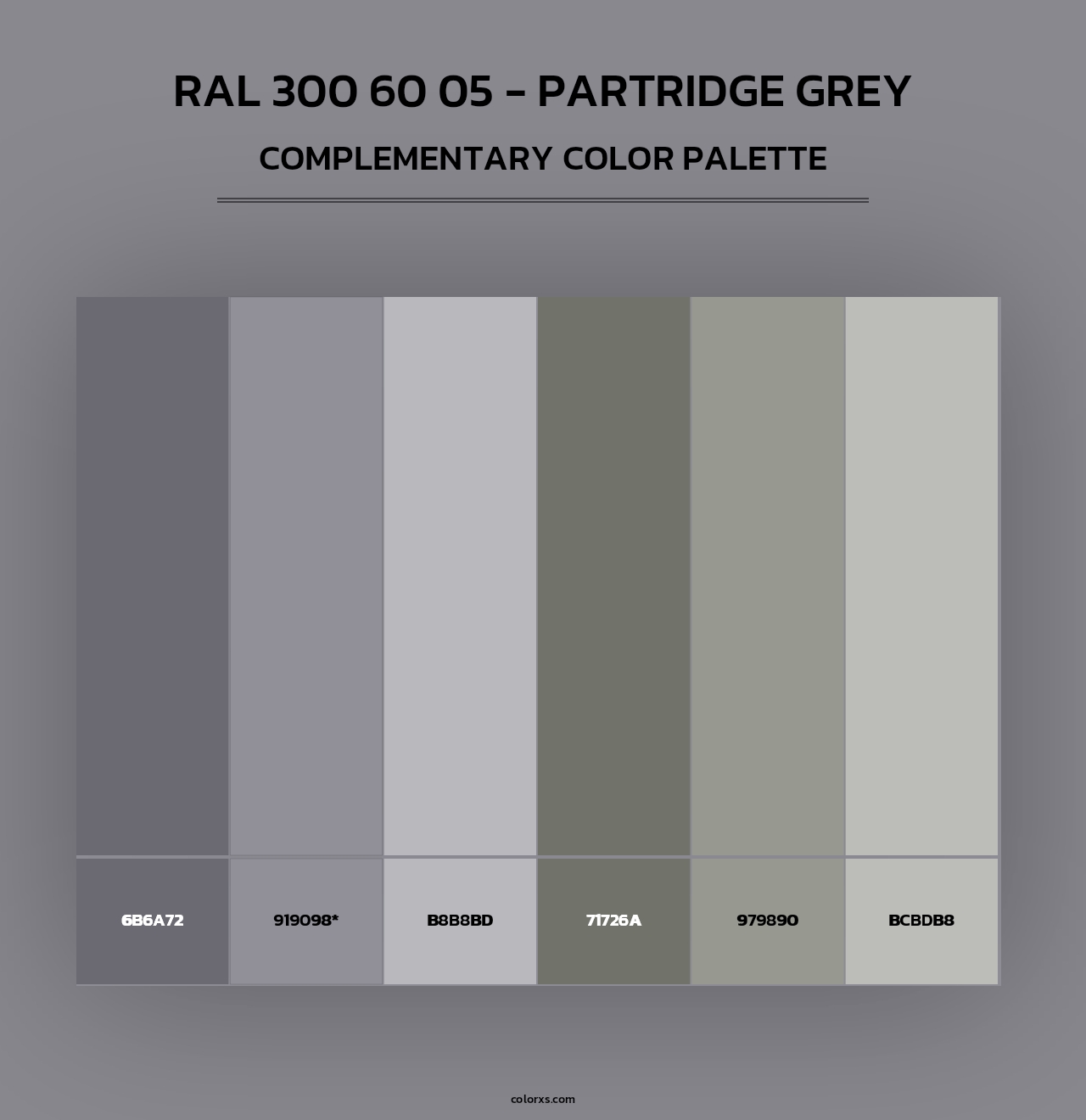 RAL 300 60 05 - Partridge Grey - Complementary Color Palette