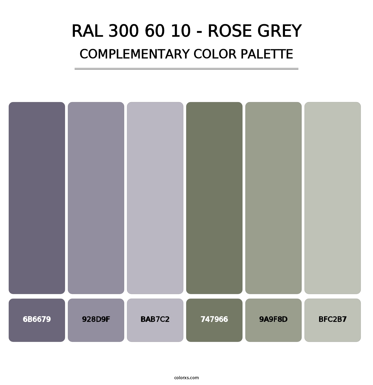 RAL 300 60 10 - Rose Grey - Complementary Color Palette