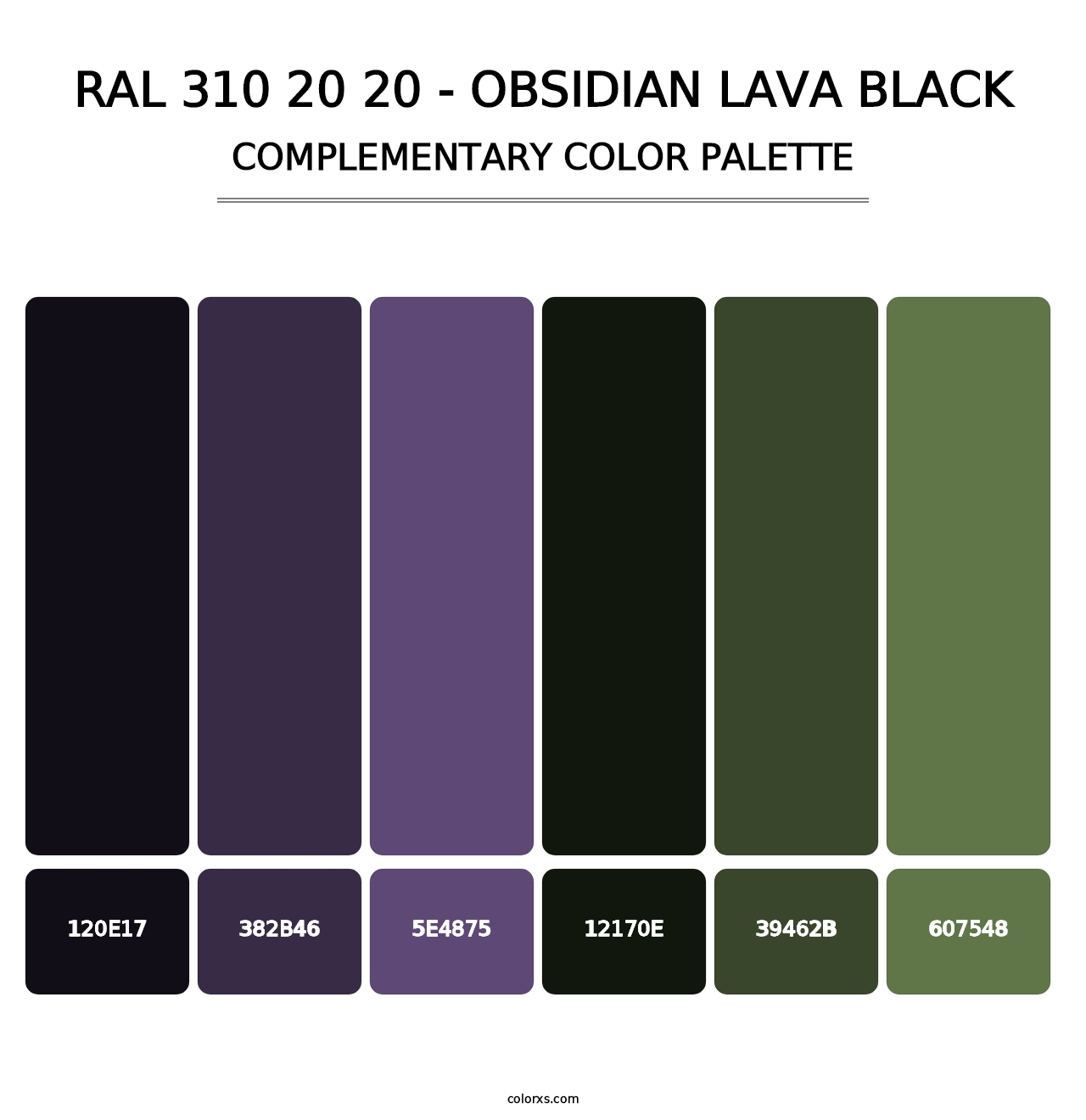 RAL 310 20 20 - Obsidian Lava Black - Complementary Color Palette