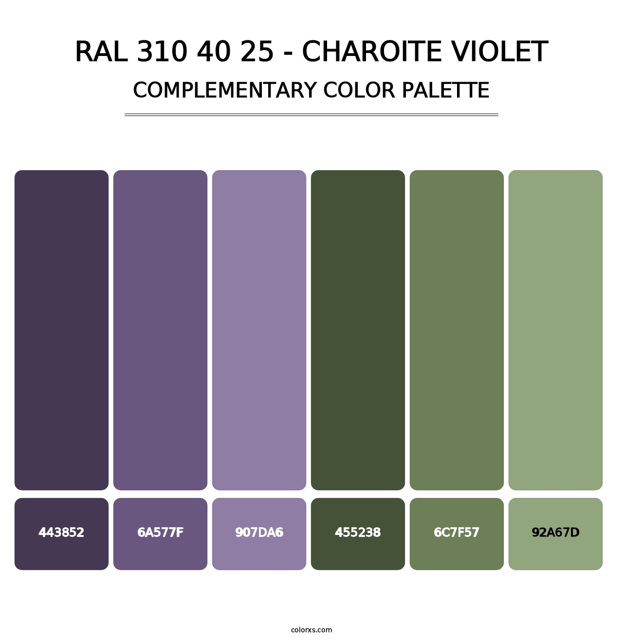RAL 310 40 25 - Charoite Violet - Complementary Color Palette