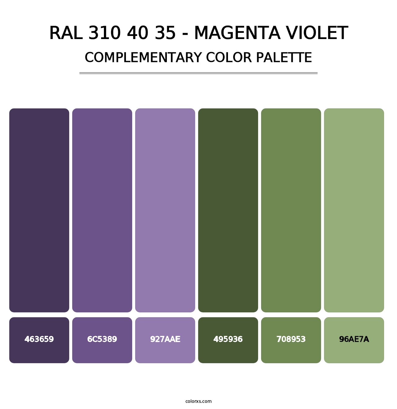 RAL 310 40 35 - Magenta Violet - Complementary Color Palette