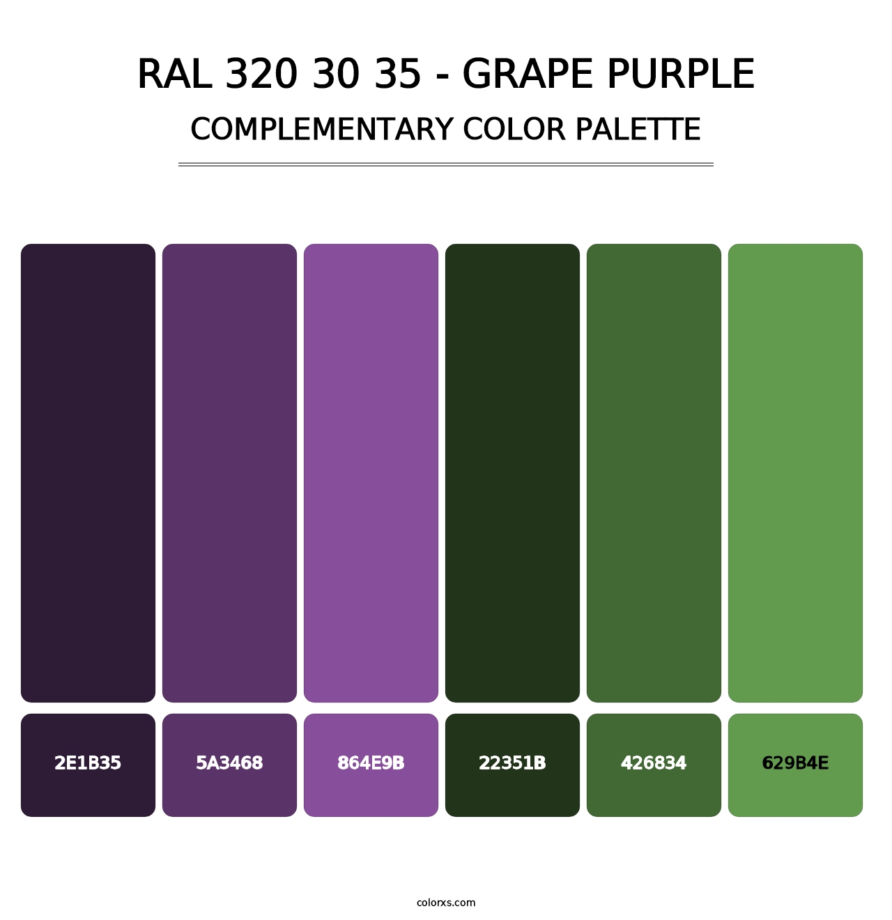 RAL 320 30 35 - Grape Purple - Complementary Color Palette