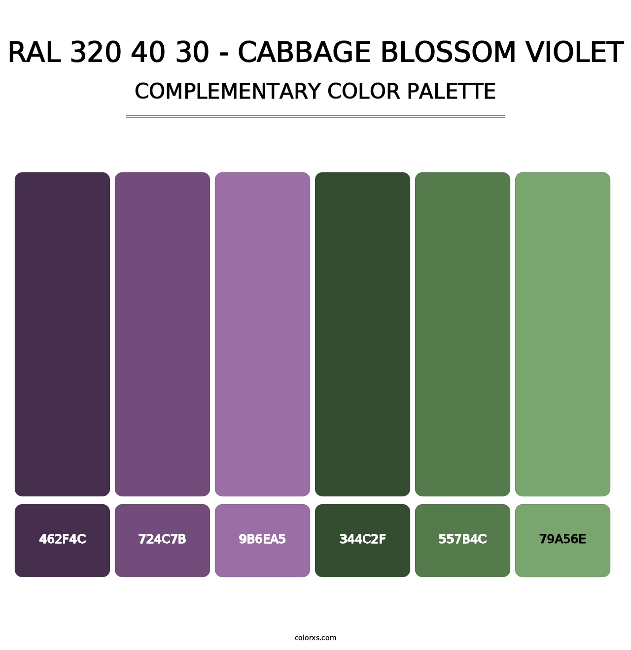 RAL 320 40 30 - Cabbage Blossom Violet - Complementary Color Palette