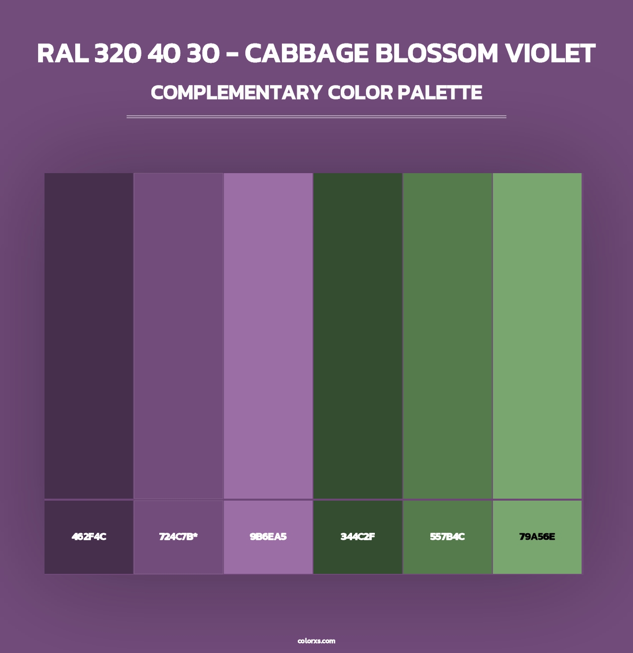 RAL 320 40 30 - Cabbage Blossom Violet - Complementary Color Palette