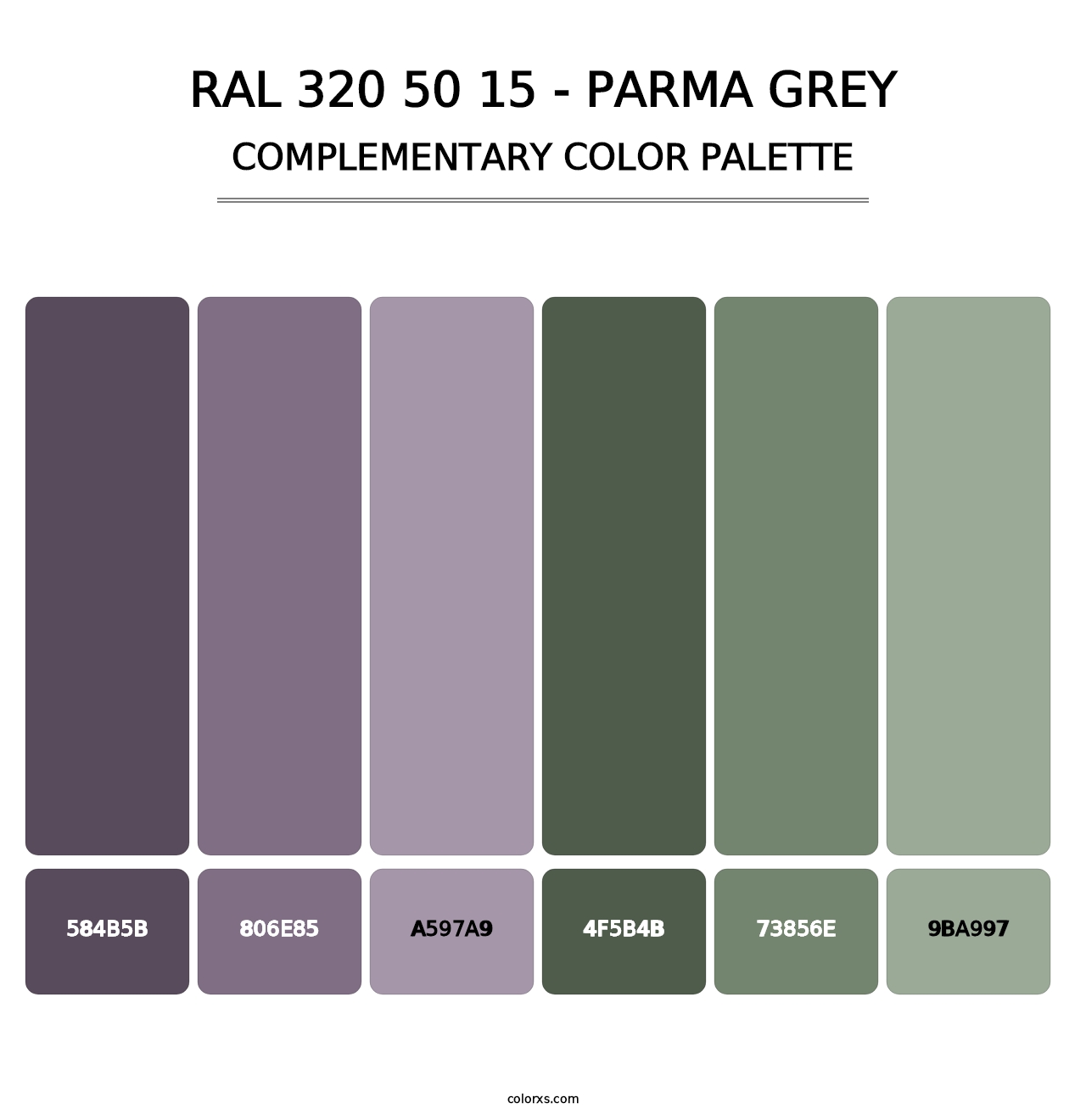 RAL 320 50 15 - Parma Grey - Complementary Color Palette