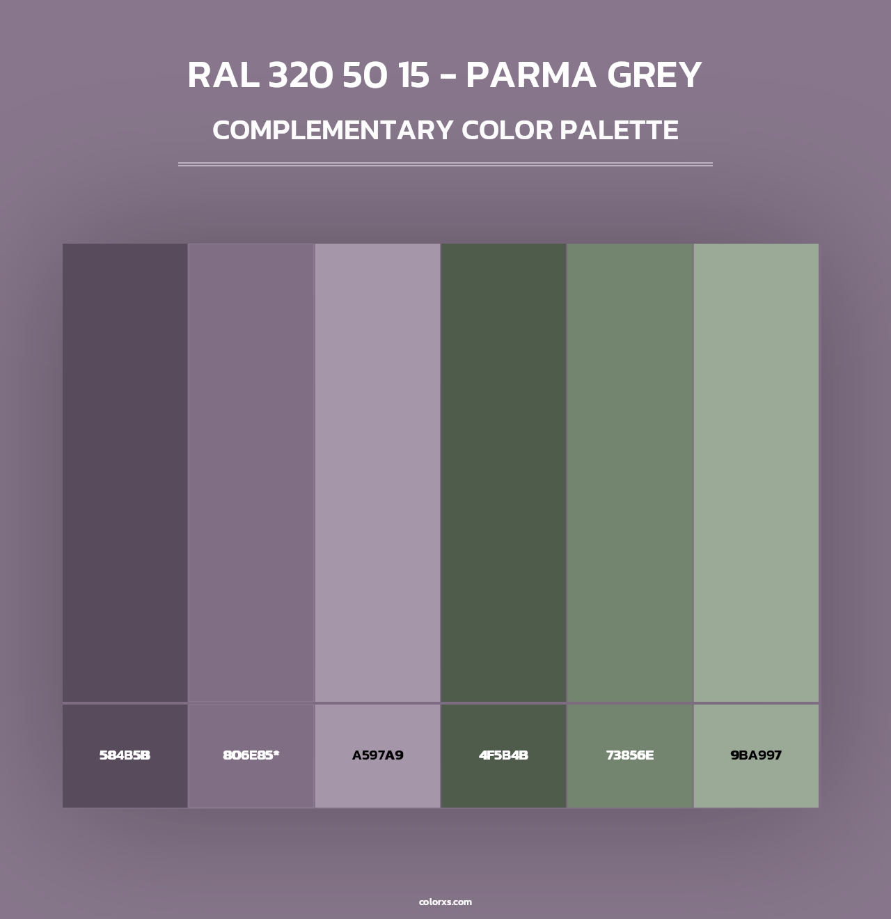 RAL 320 50 15 - Parma Grey - Complementary Color Palette