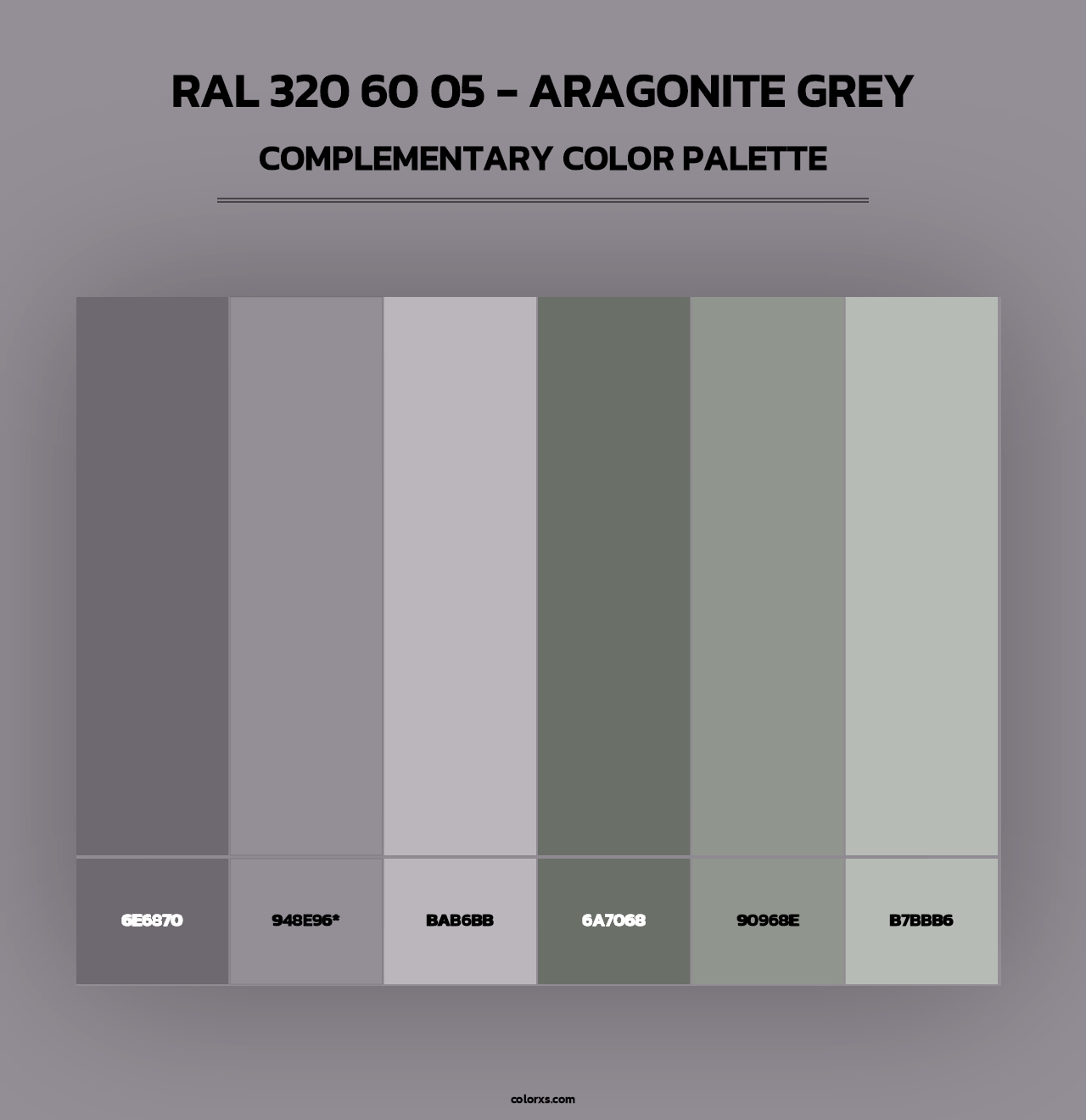RAL 320 60 05 - Aragonite Grey - Complementary Color Palette