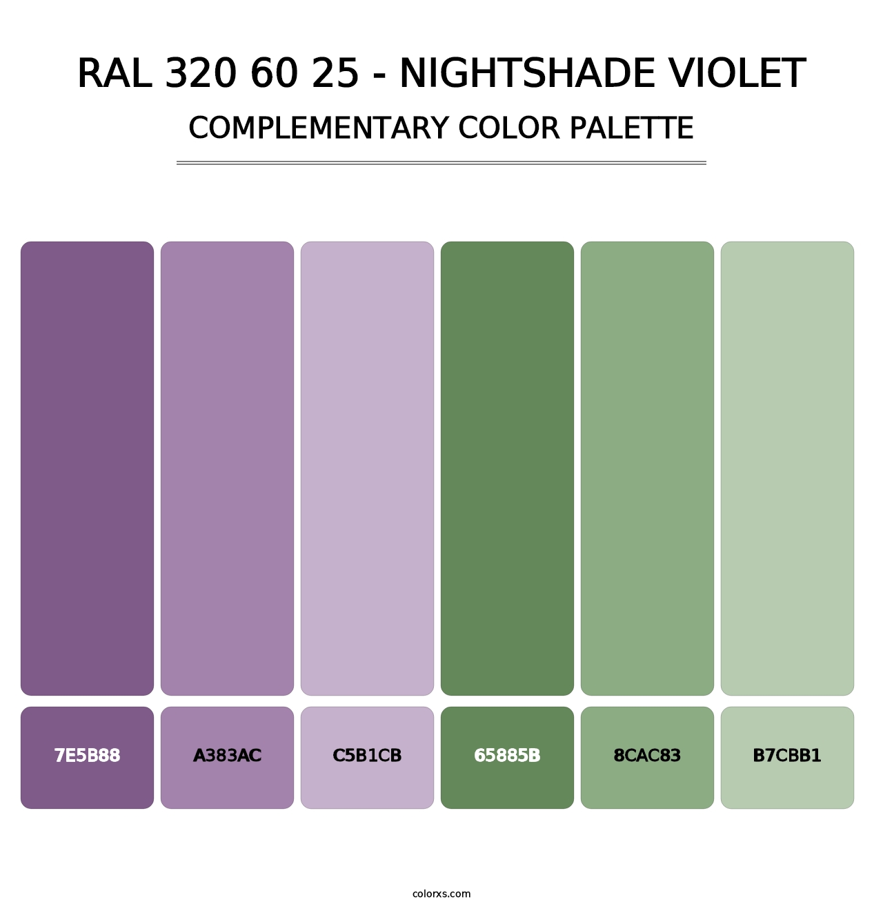 RAL 320 60 25 - Nightshade Violet - Complementary Color Palette