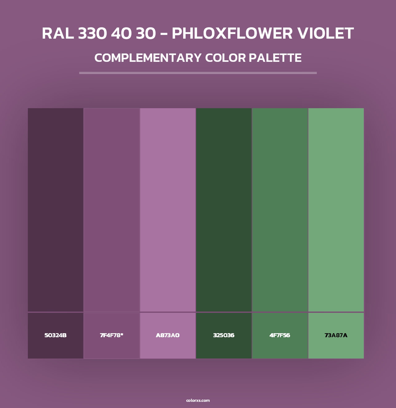 RAL 330 40 30 - Phloxflower Violet - Complementary Color Palette