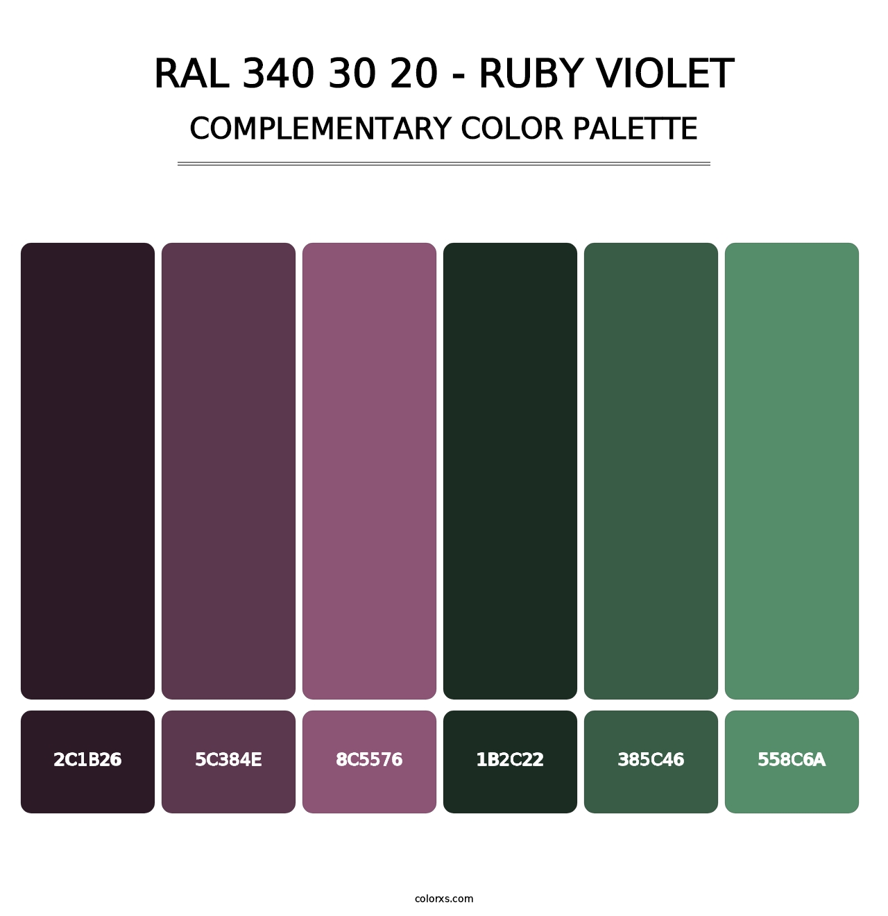 RAL 340 30 20 - Ruby Violet - Complementary Color Palette
