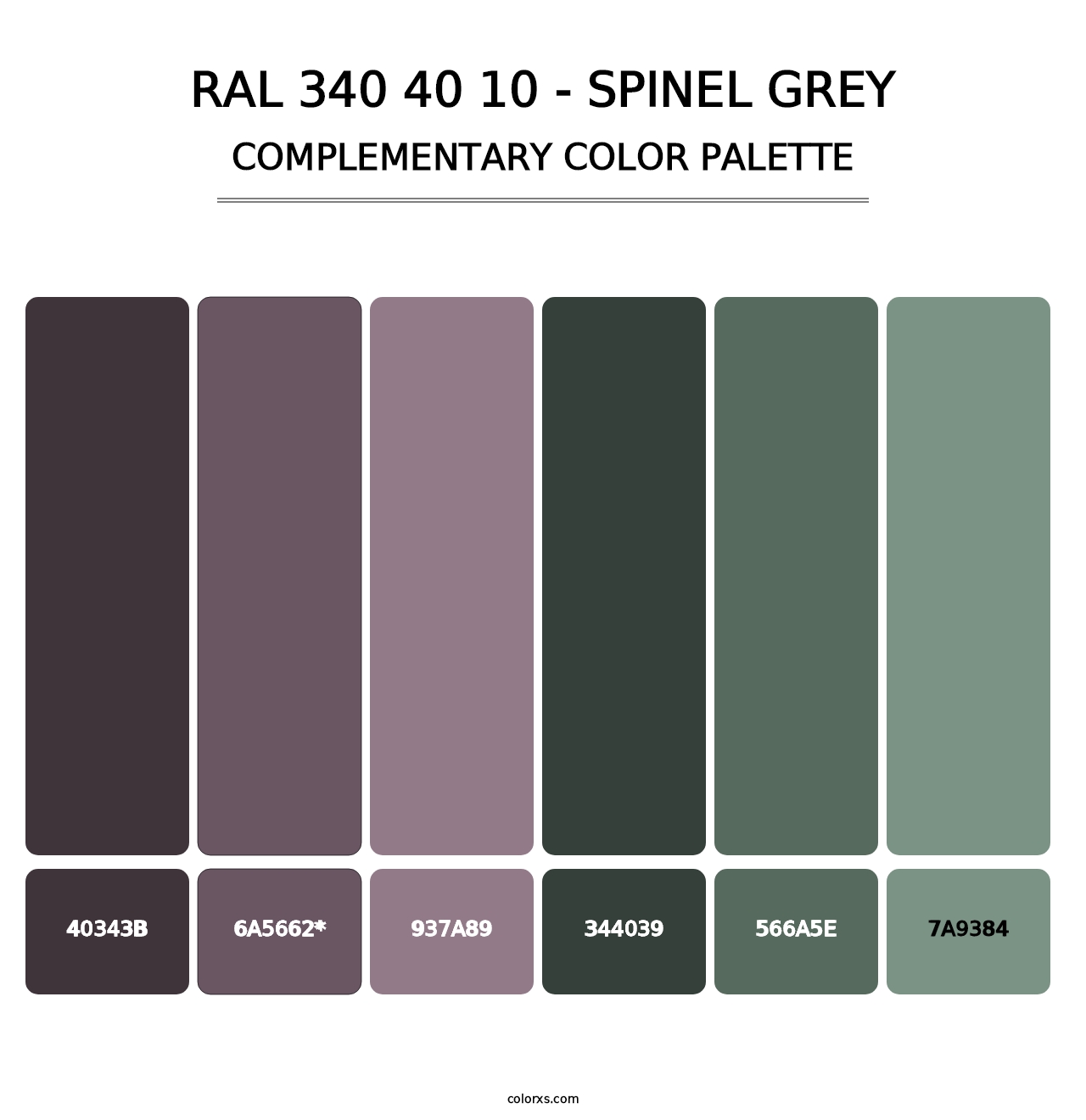 RAL 340 40 10 - Spinel Grey - Complementary Color Palette