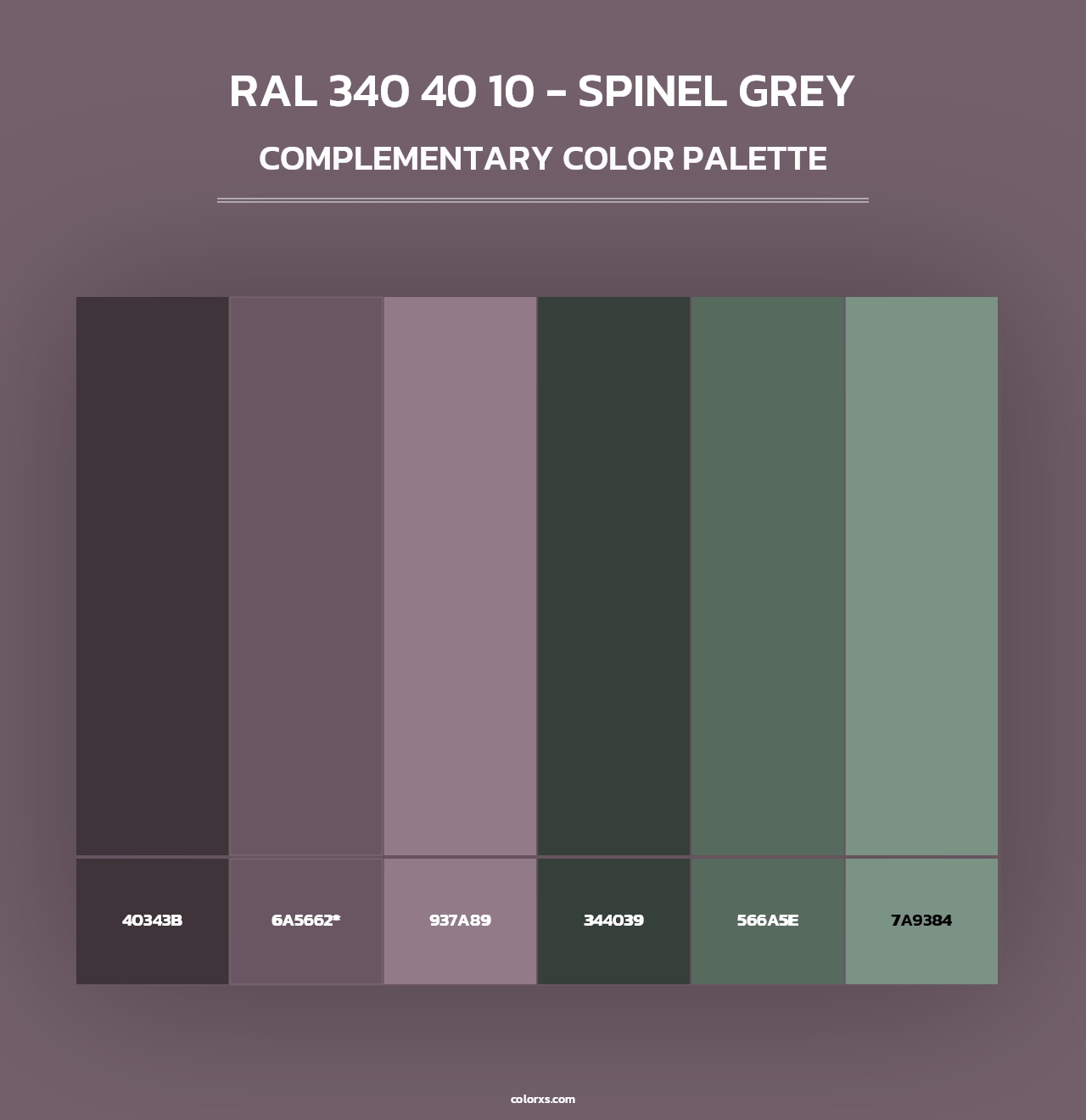 RAL 340 40 10 - Spinel Grey - Complementary Color Palette