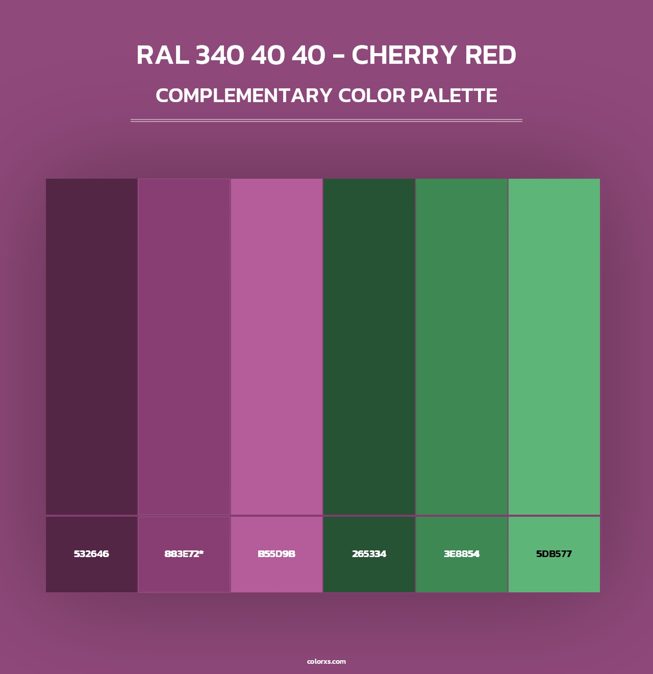 RAL 340 40 40 - Cherry Red - Complementary Color Palette