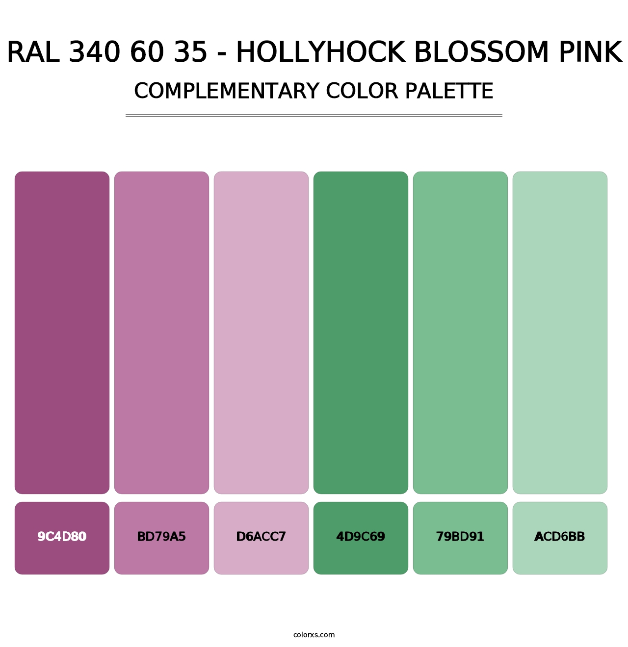 RAL 340 60 35 - Hollyhock Blossom Pink - Complementary Color Palette