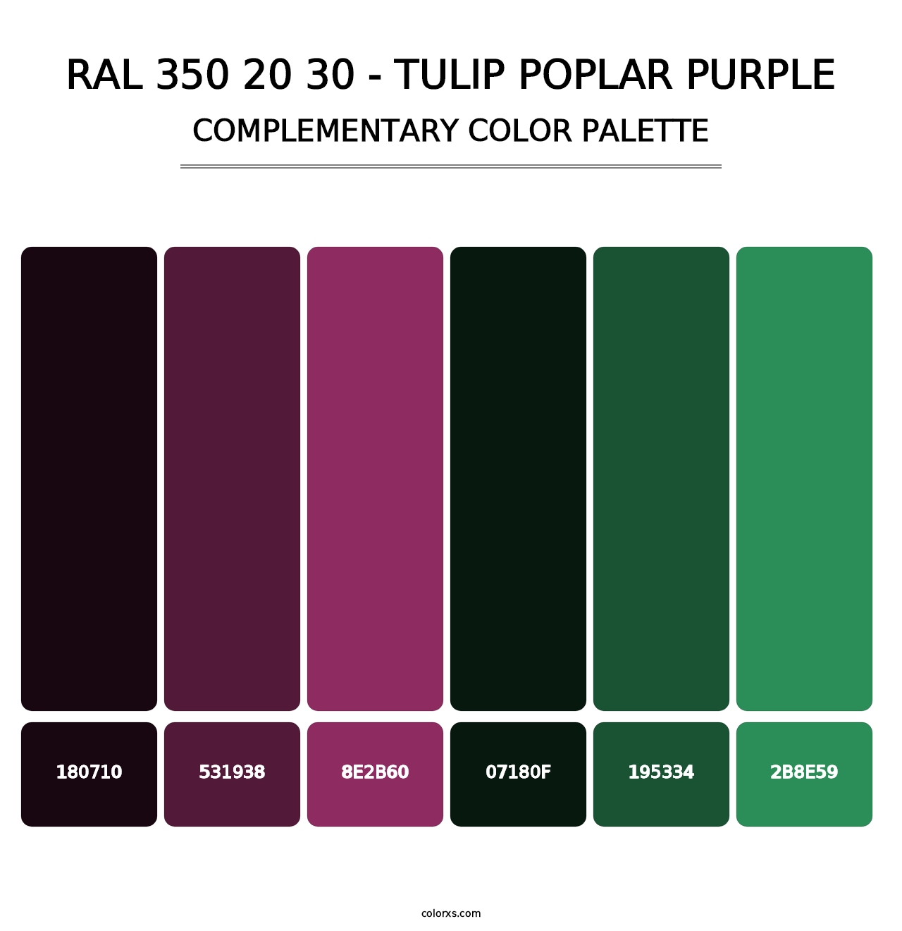 RAL 350 20 30 - Tulip Poplar Purple - Complementary Color Palette