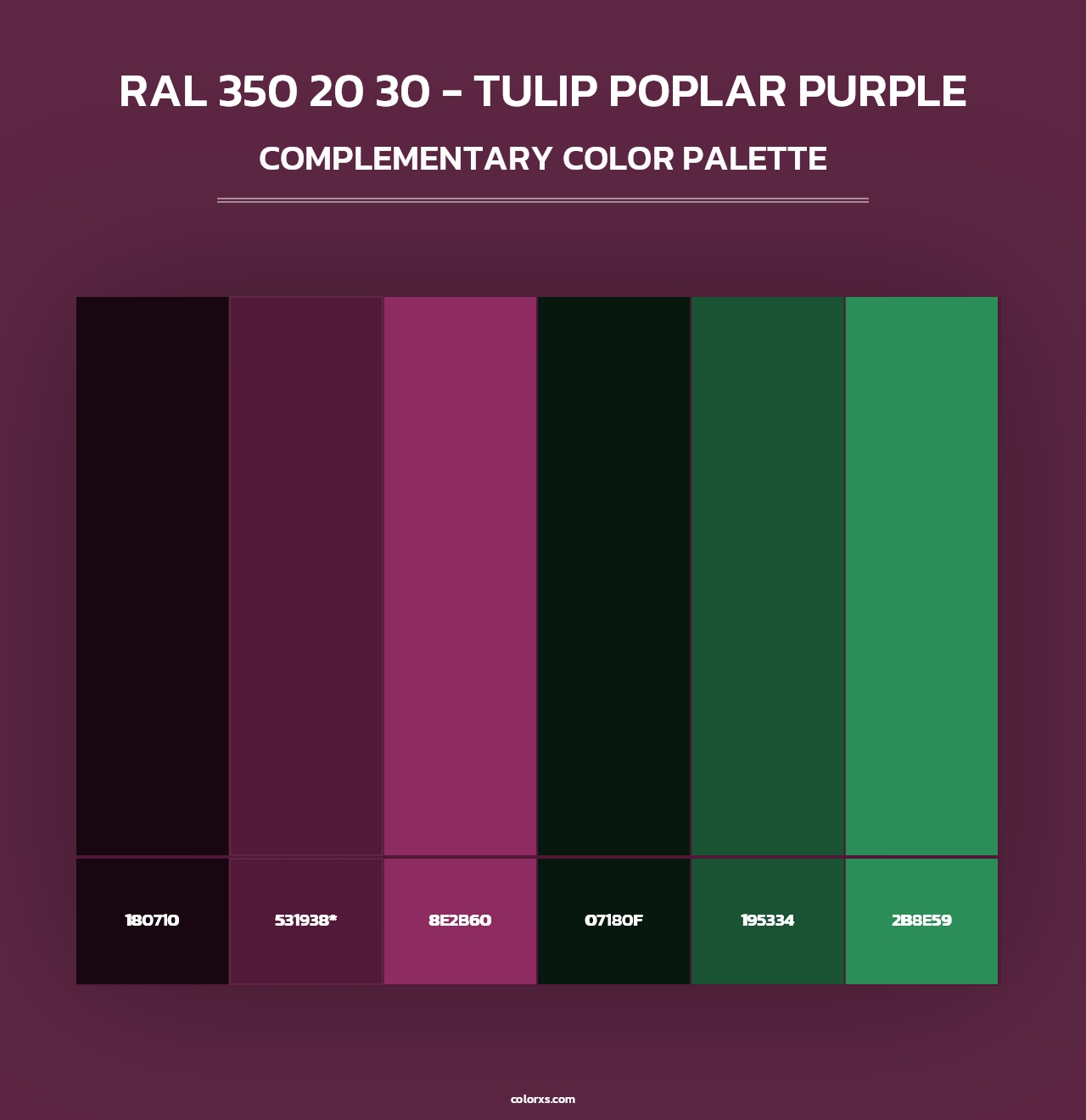RAL 350 20 30 - Tulip Poplar Purple - Complementary Color Palette