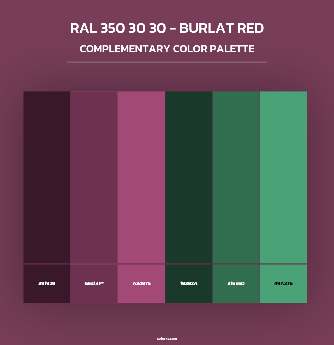 RAL 350 30 30 - Burlat Red - Complementary Color Palette