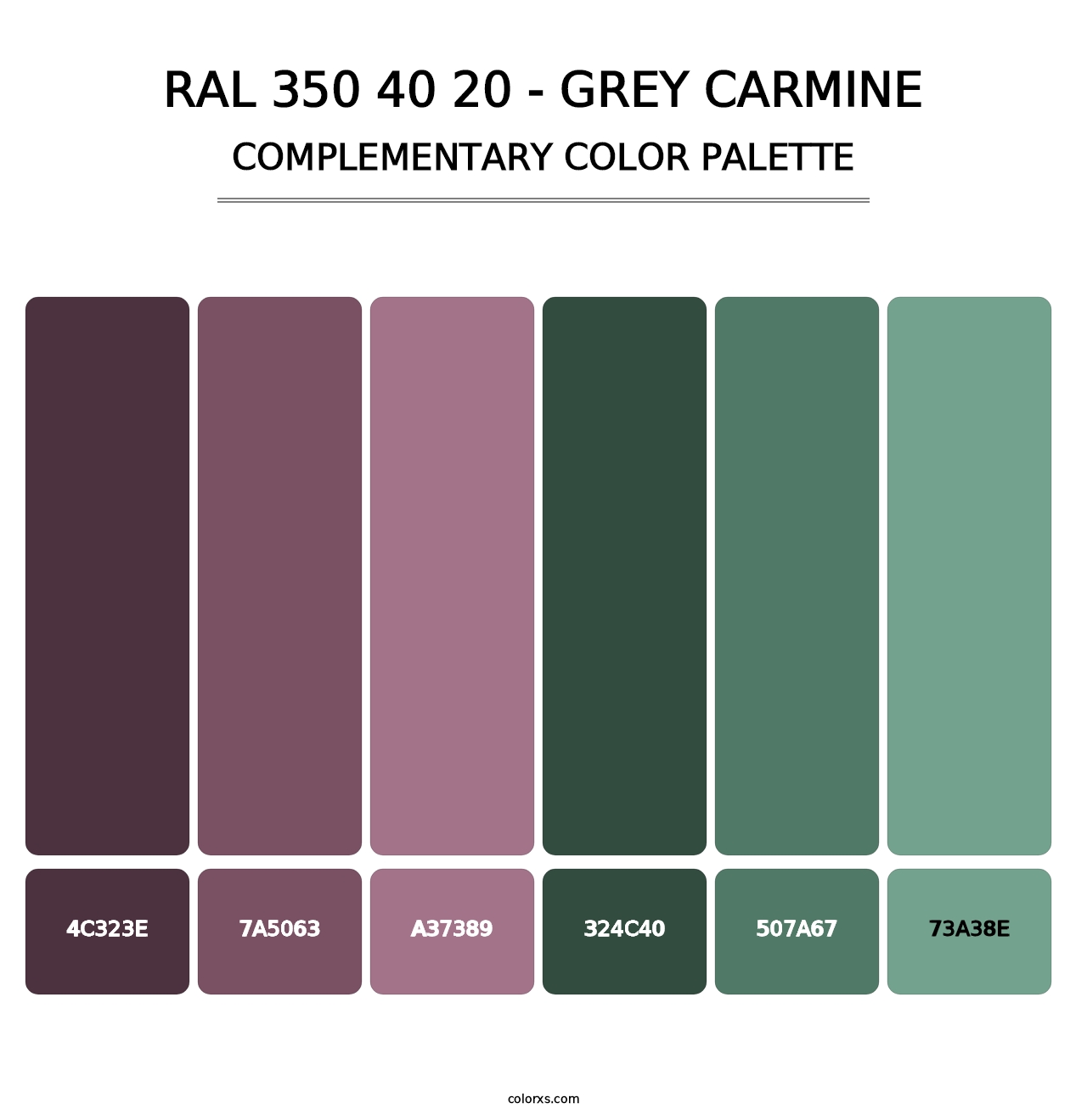 RAL 350 40 20 - Grey Carmine - Complementary Color Palette