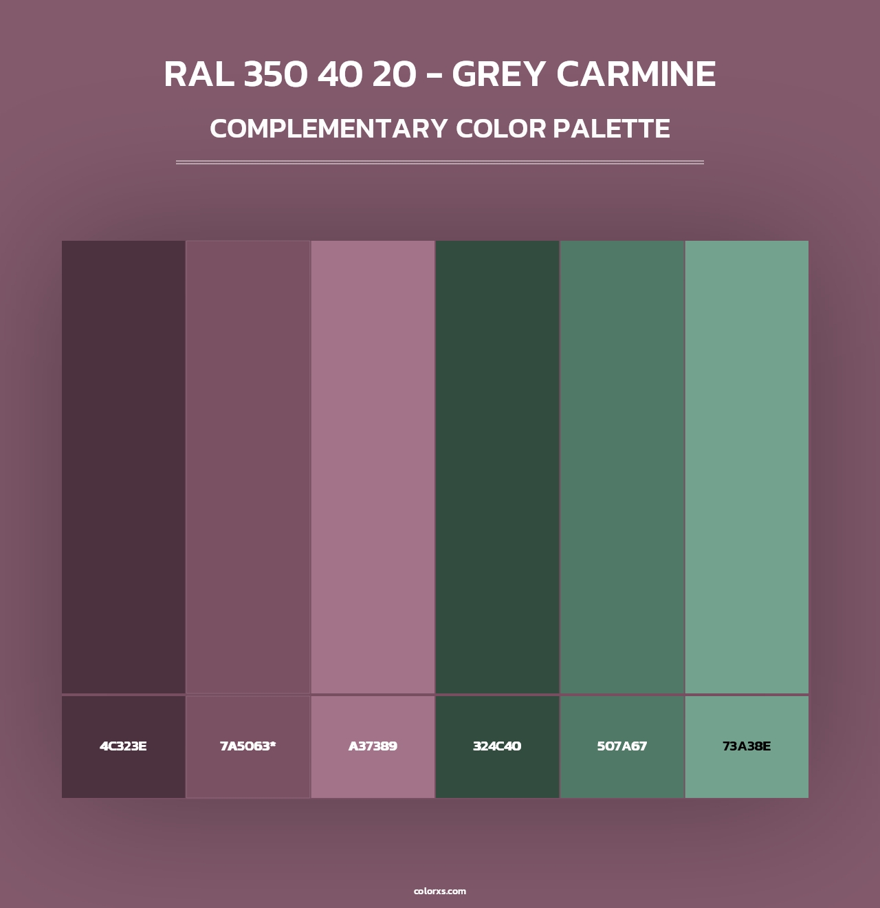 RAL 350 40 20 - Grey Carmine - Complementary Color Palette