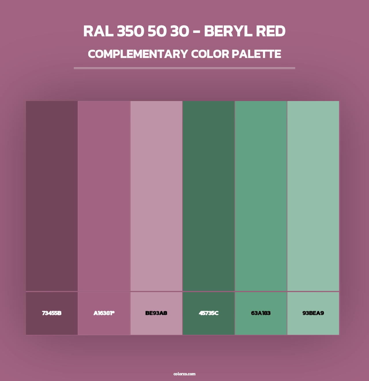 RAL 350 50 30 - Beryl Red - Complementary Color Palette