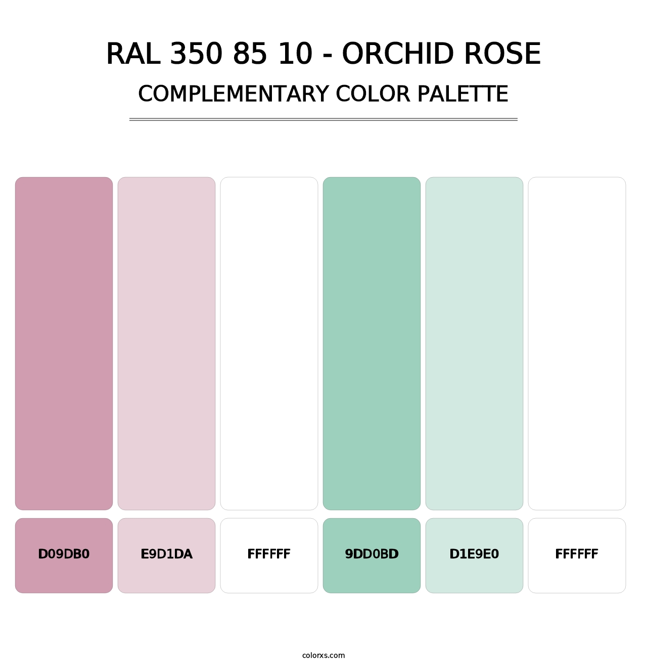 RAL 350 85 10 - Orchid Rose - Complementary Color Palette