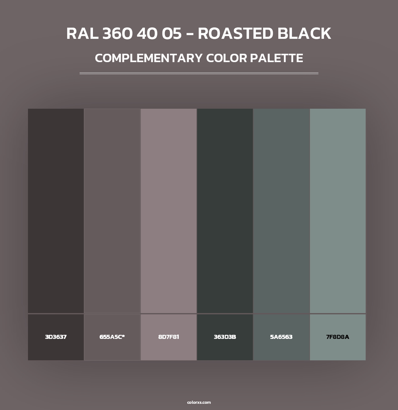 RAL 360 40 05 - Roasted Black - Complementary Color Palette