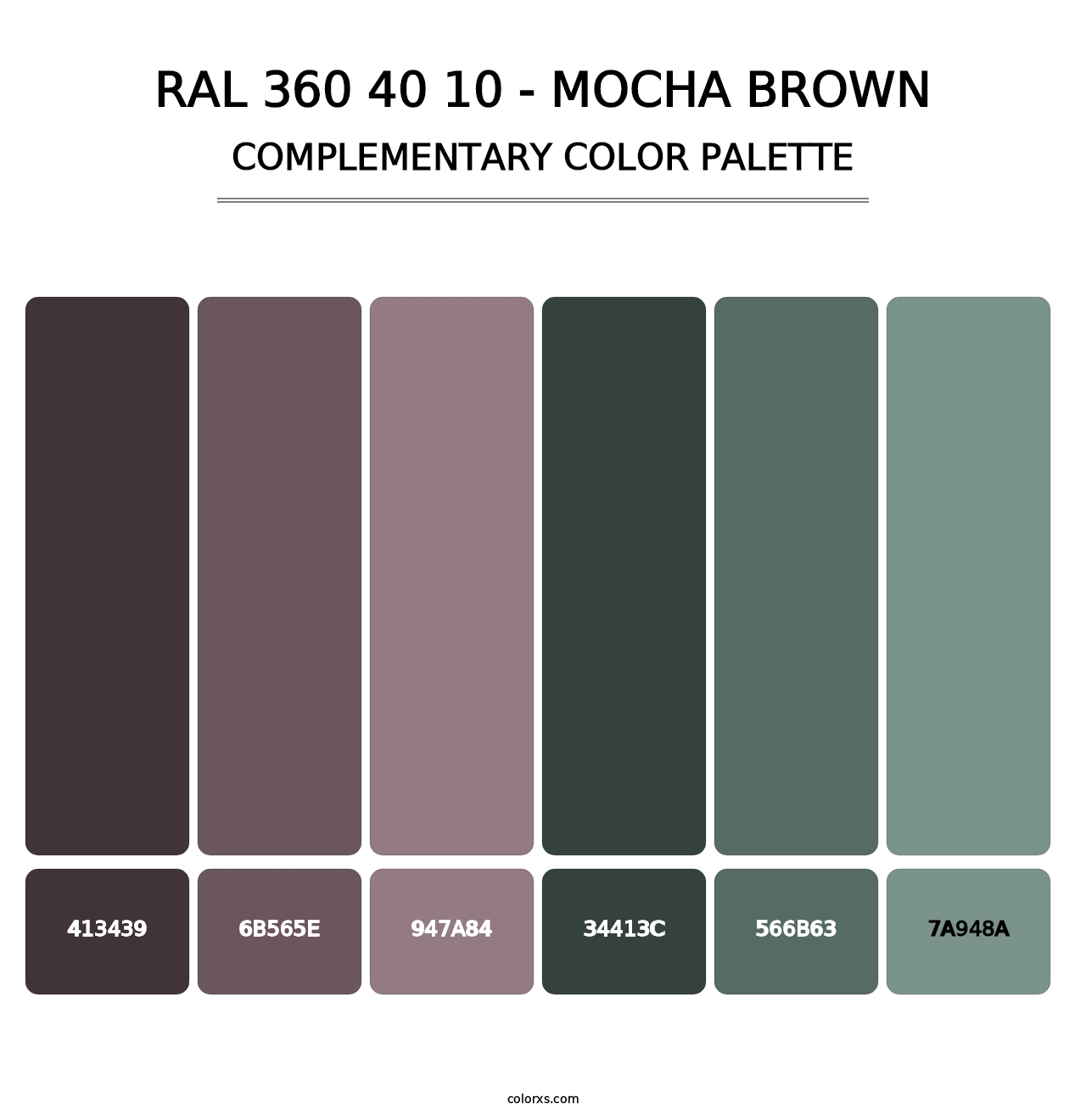 RAL 360 40 10 - Mocha Brown - Complementary Color Palette