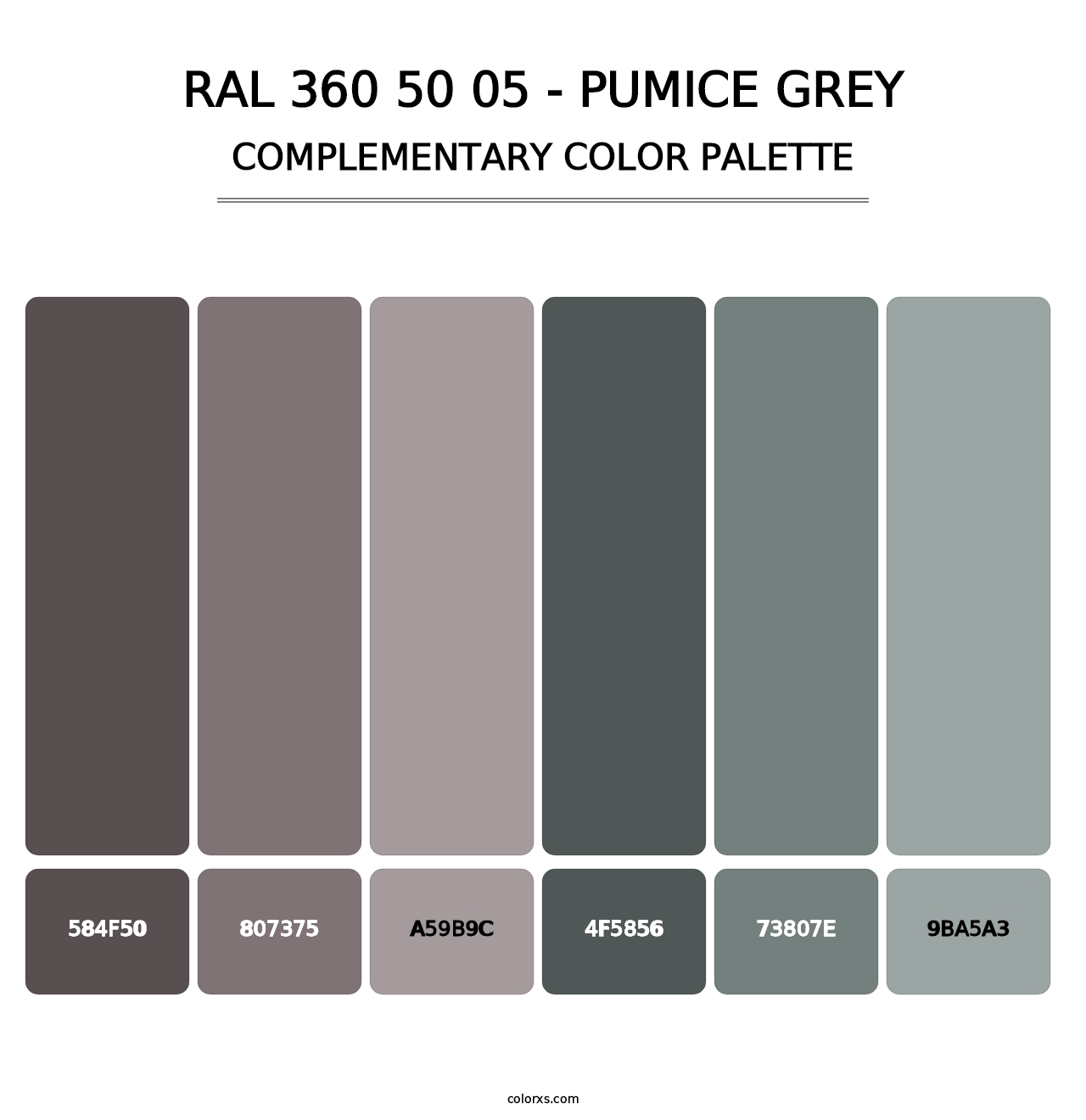 RAL 360 50 05 - Pumice Grey - Complementary Color Palette
