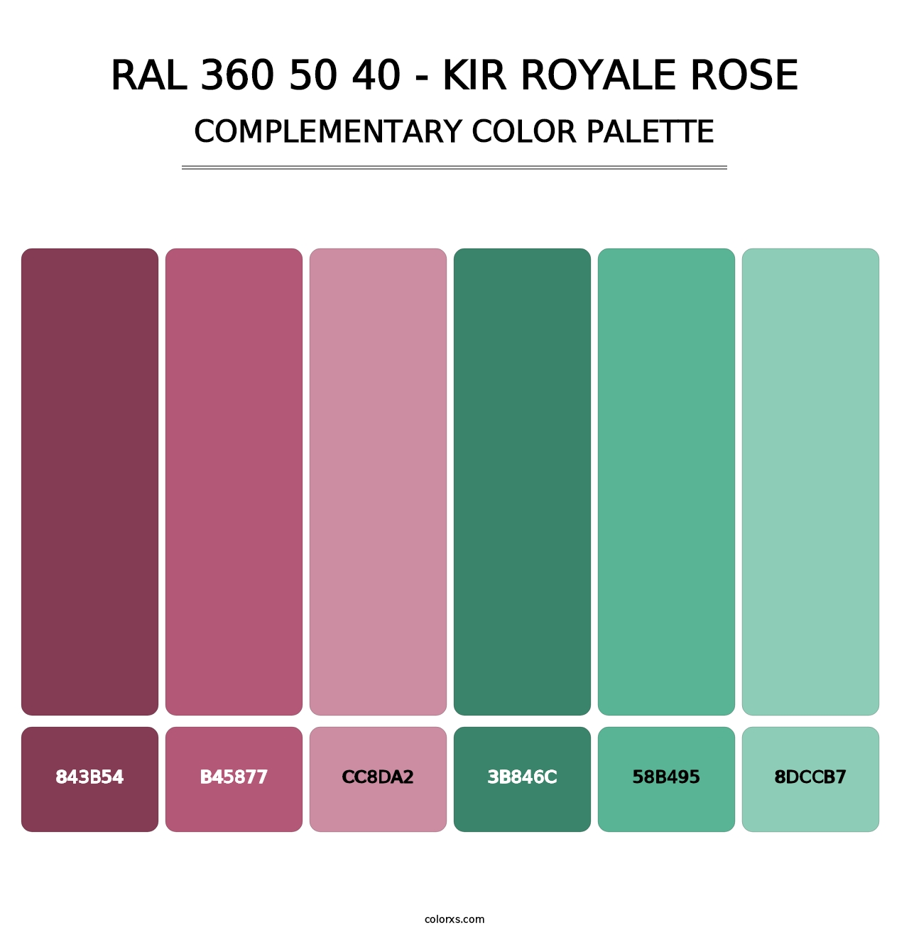 RAL 360 50 40 - Kir Royale Rose - Complementary Color Palette