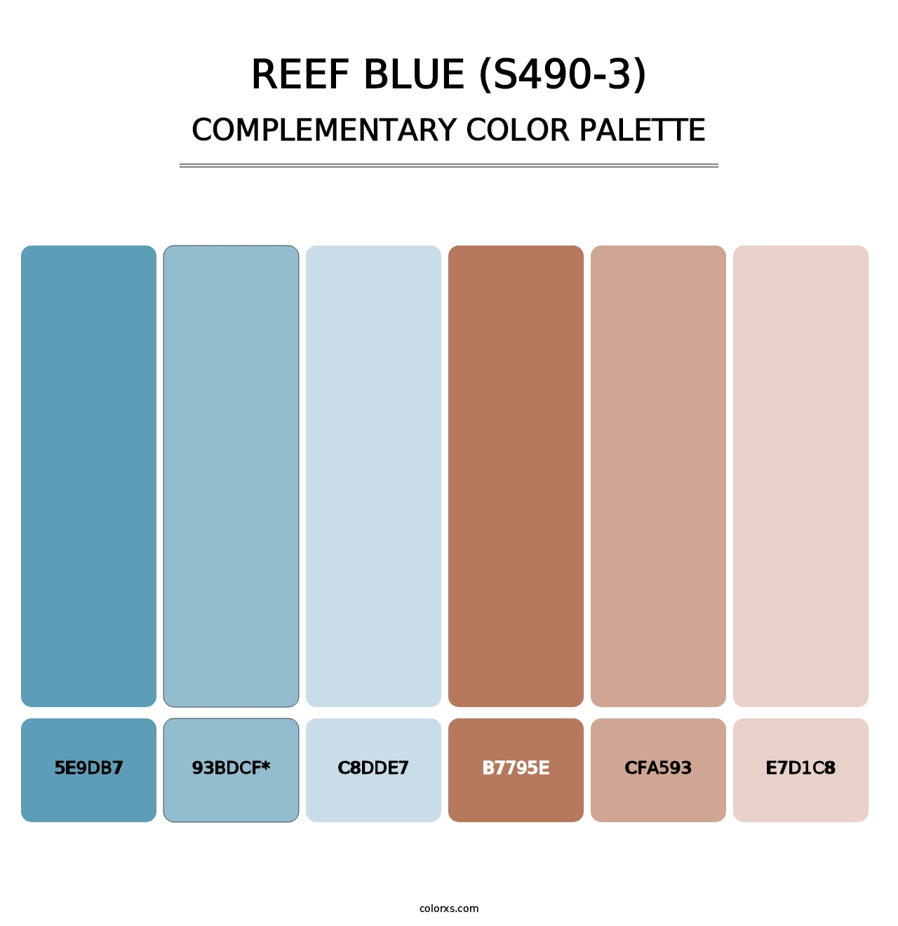 Reef Blue (S490-3) - Complementary Color Palette