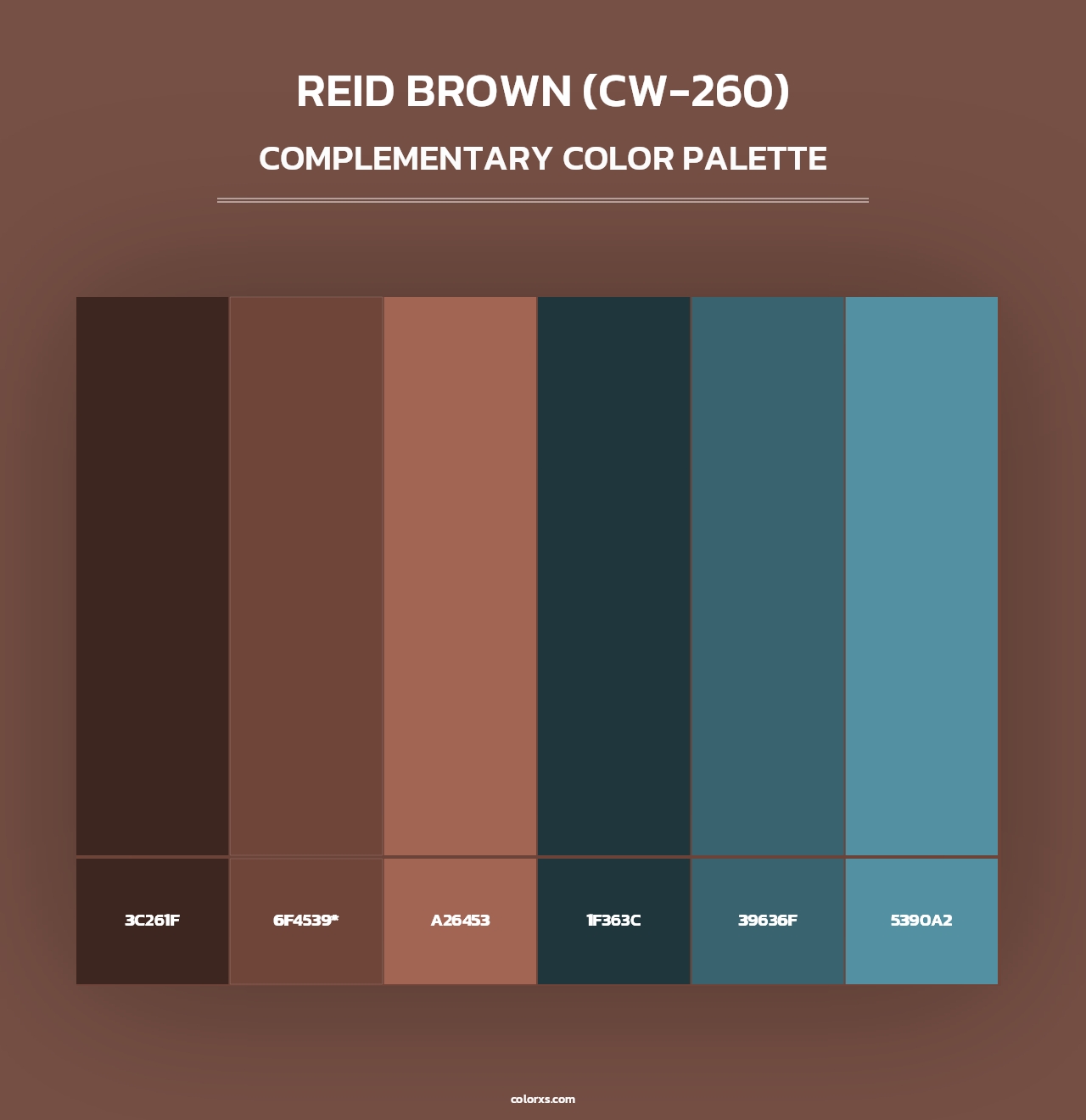 Reid Brown (CW-260) - Complementary Color Palette