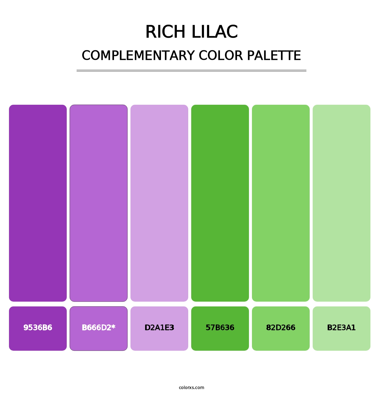 Rich Lilac - Complementary Color Palette