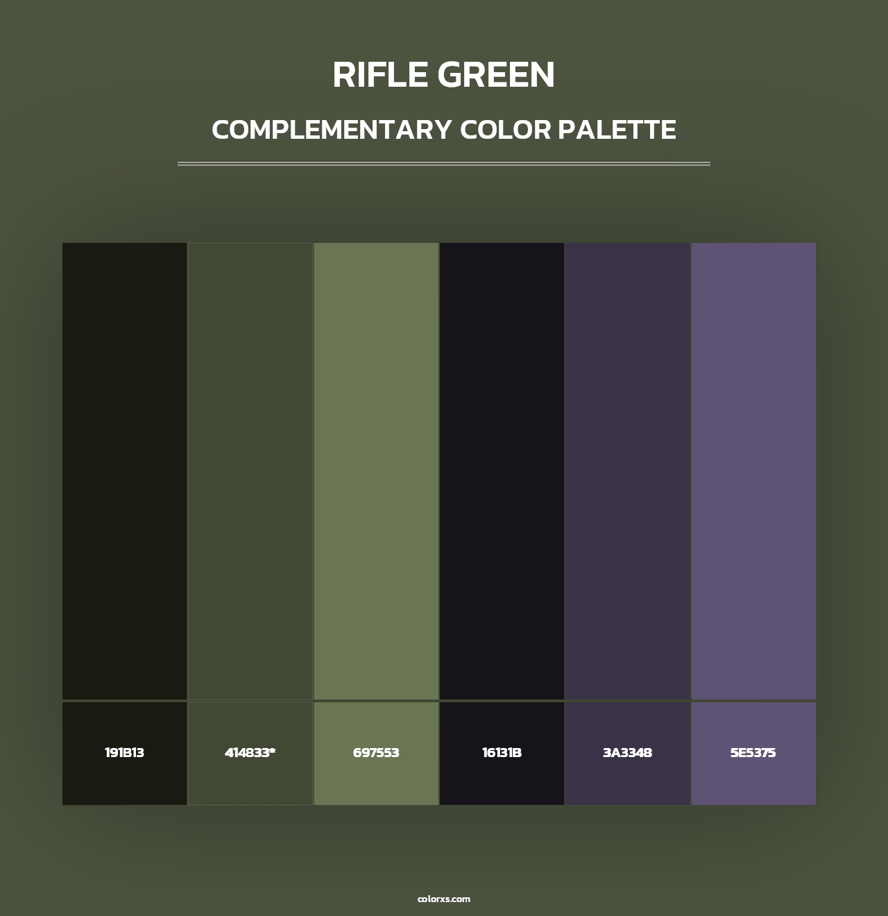 Rifle Green - Complementary Color Palette