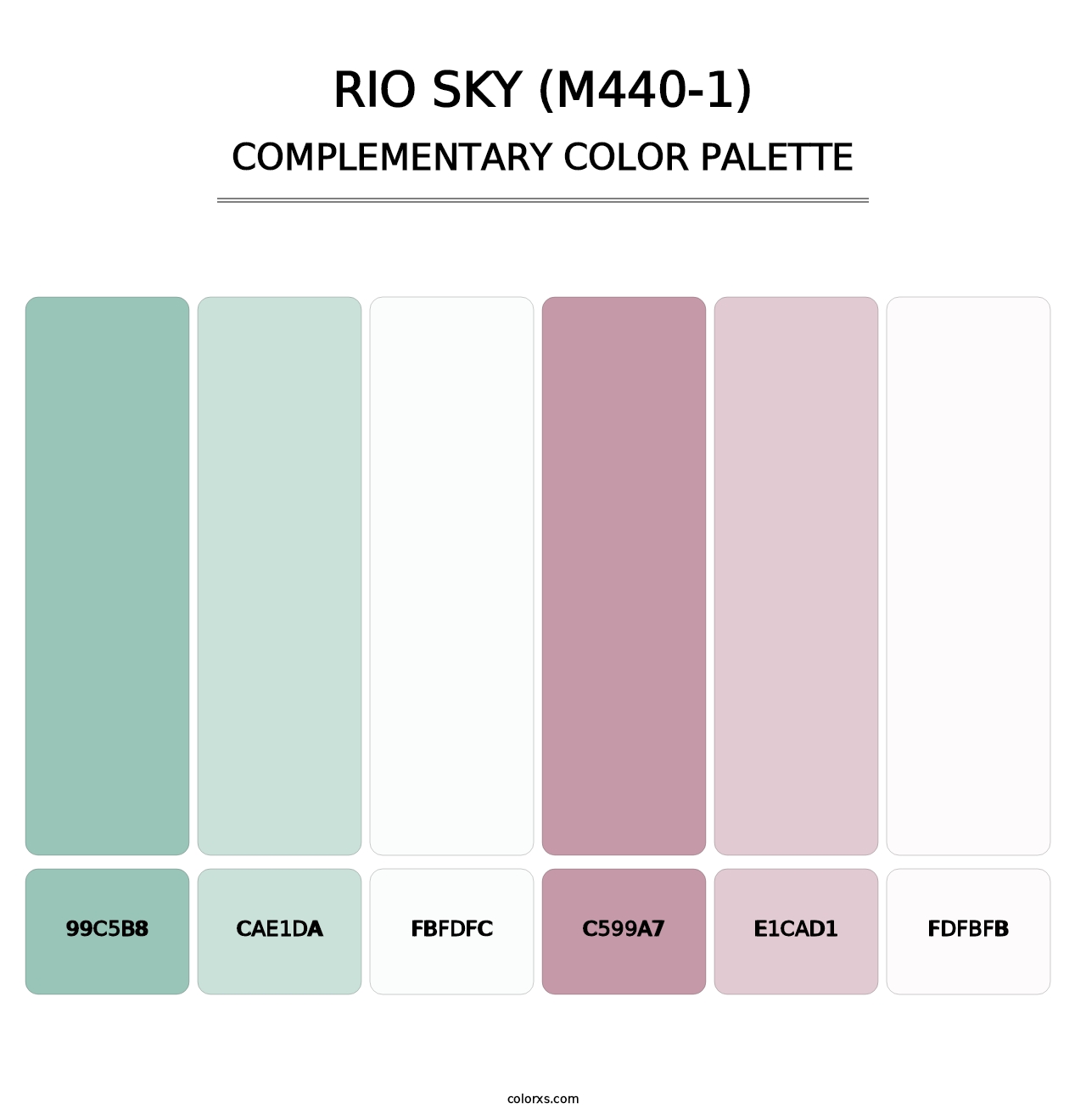 Rio Sky (M440-1) - Complementary Color Palette