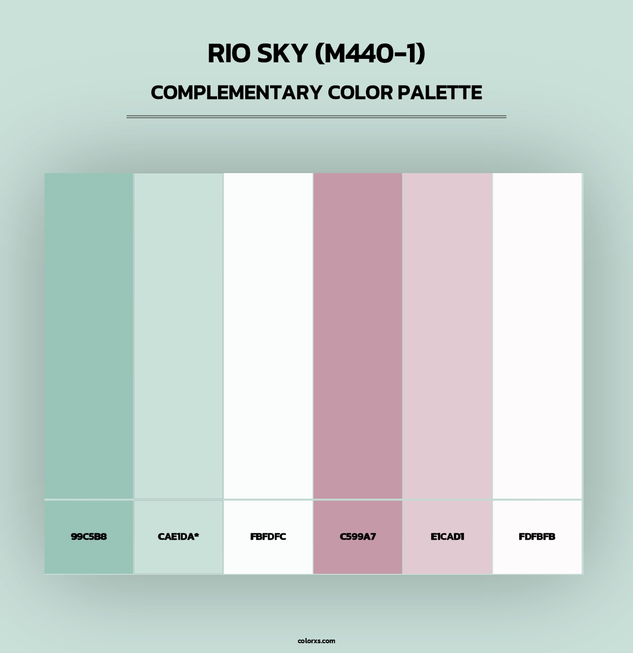 Rio Sky (M440-1) - Complementary Color Palette